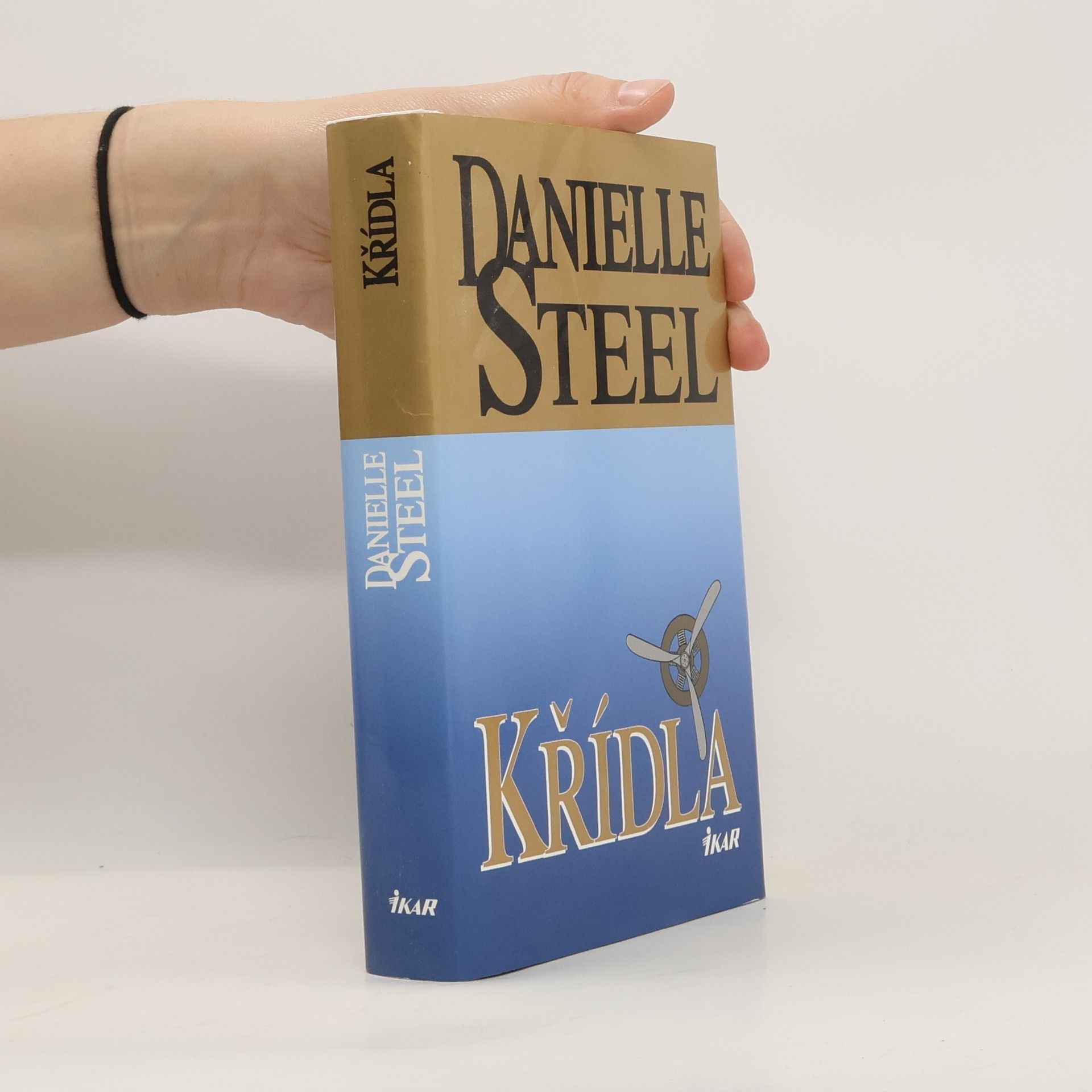 Danielle Steel Křídla