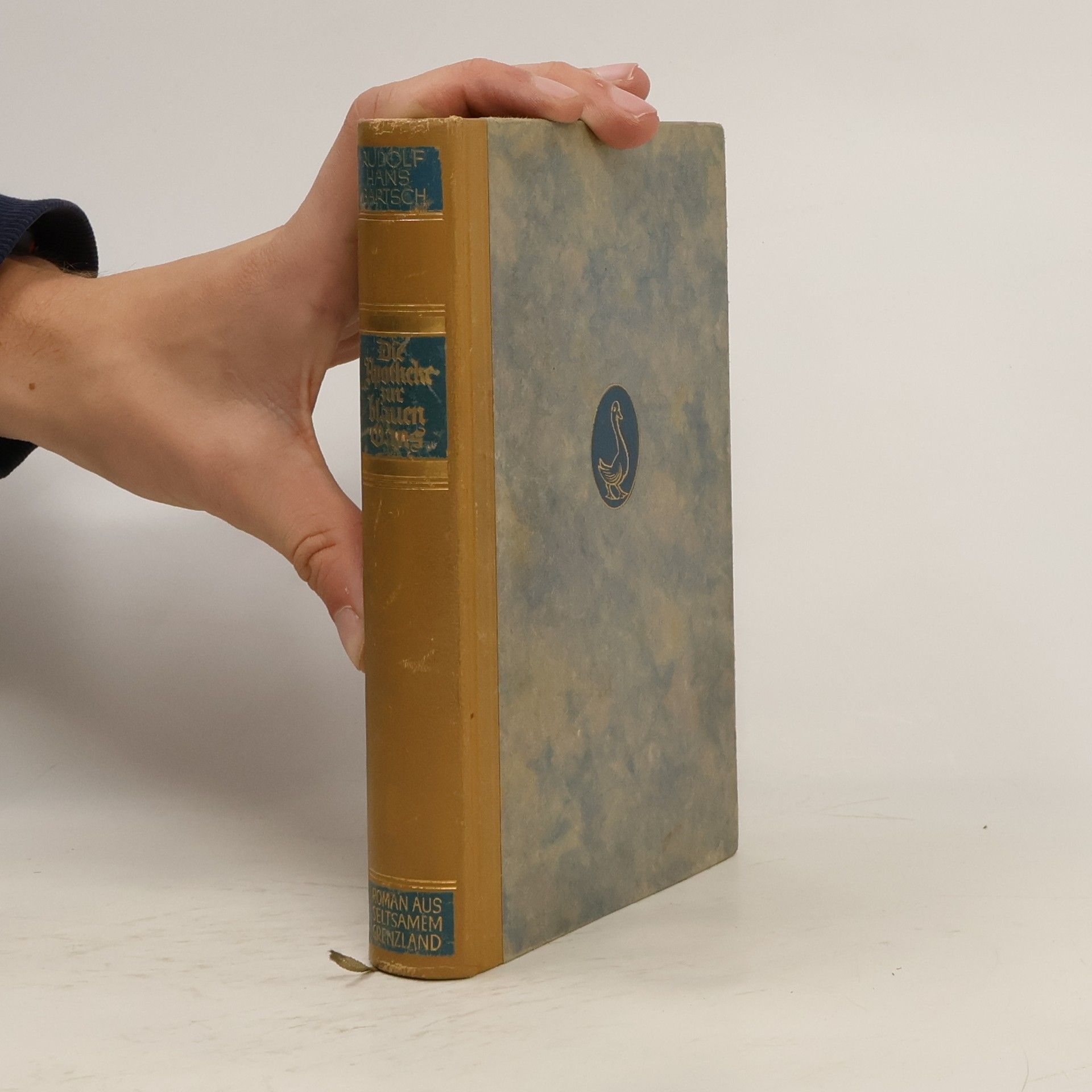 Rudolf hans Bartsch Die Apotheke zur blauen Ganz : ein Roman aus seltsamem Grenzland