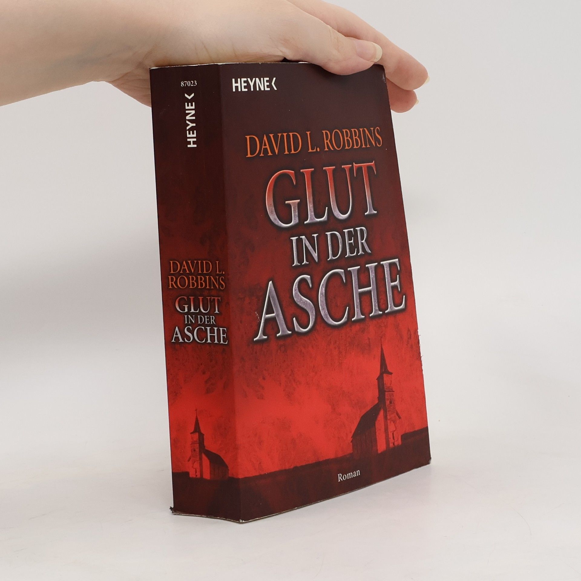 Glut in der Asche. Roman