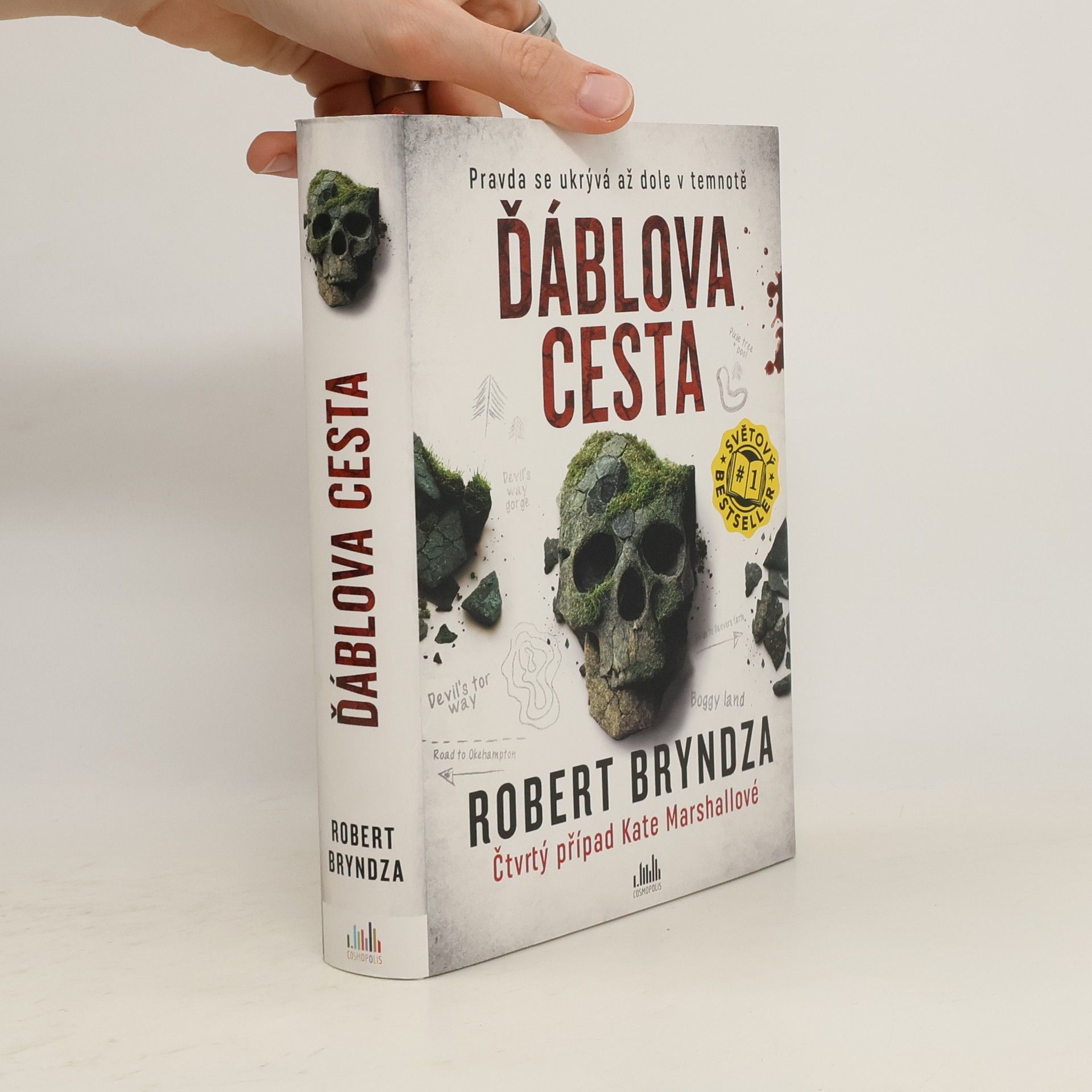 Robert Bryndza Ďáblova cesta