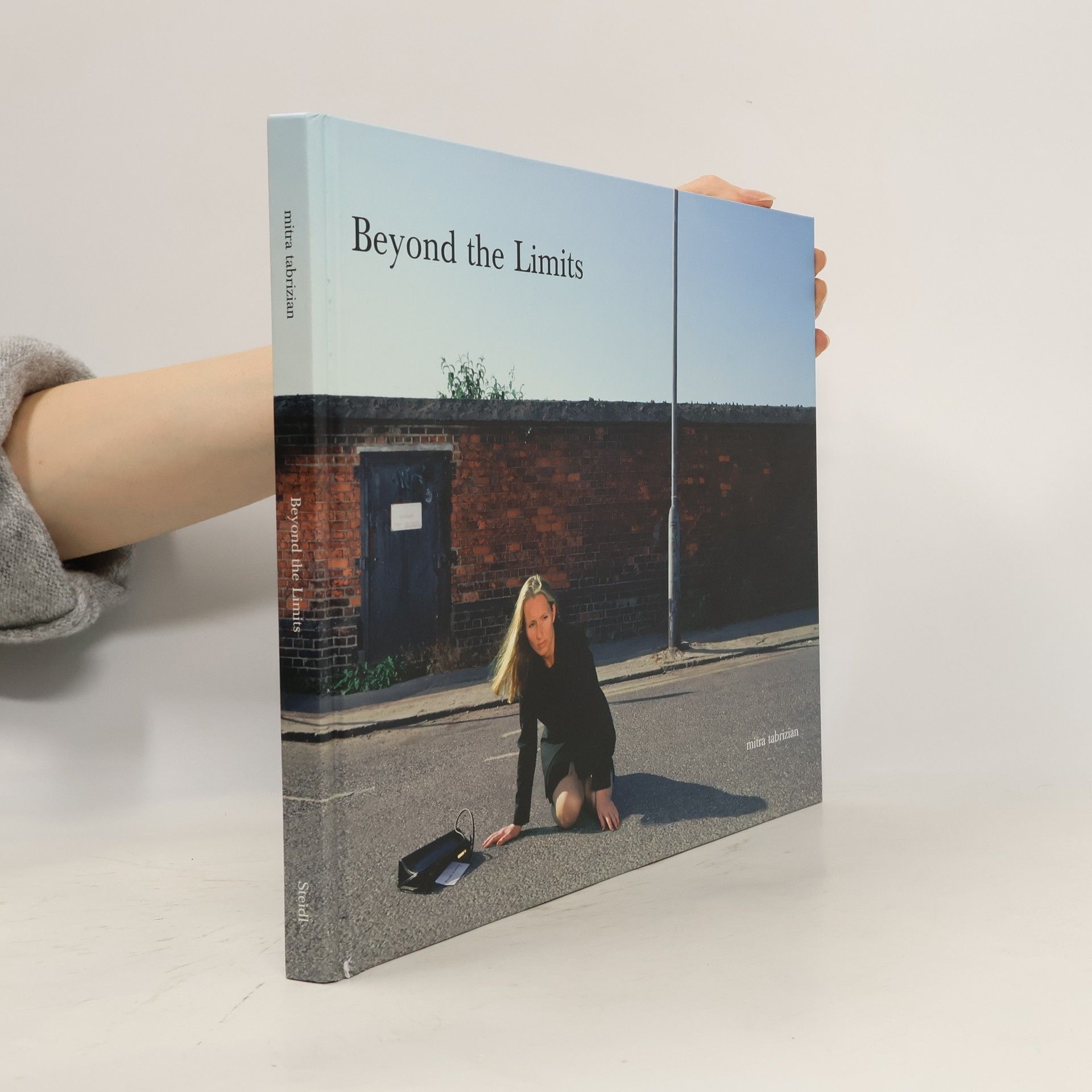 Mitra Tabrizian Beyond the limits