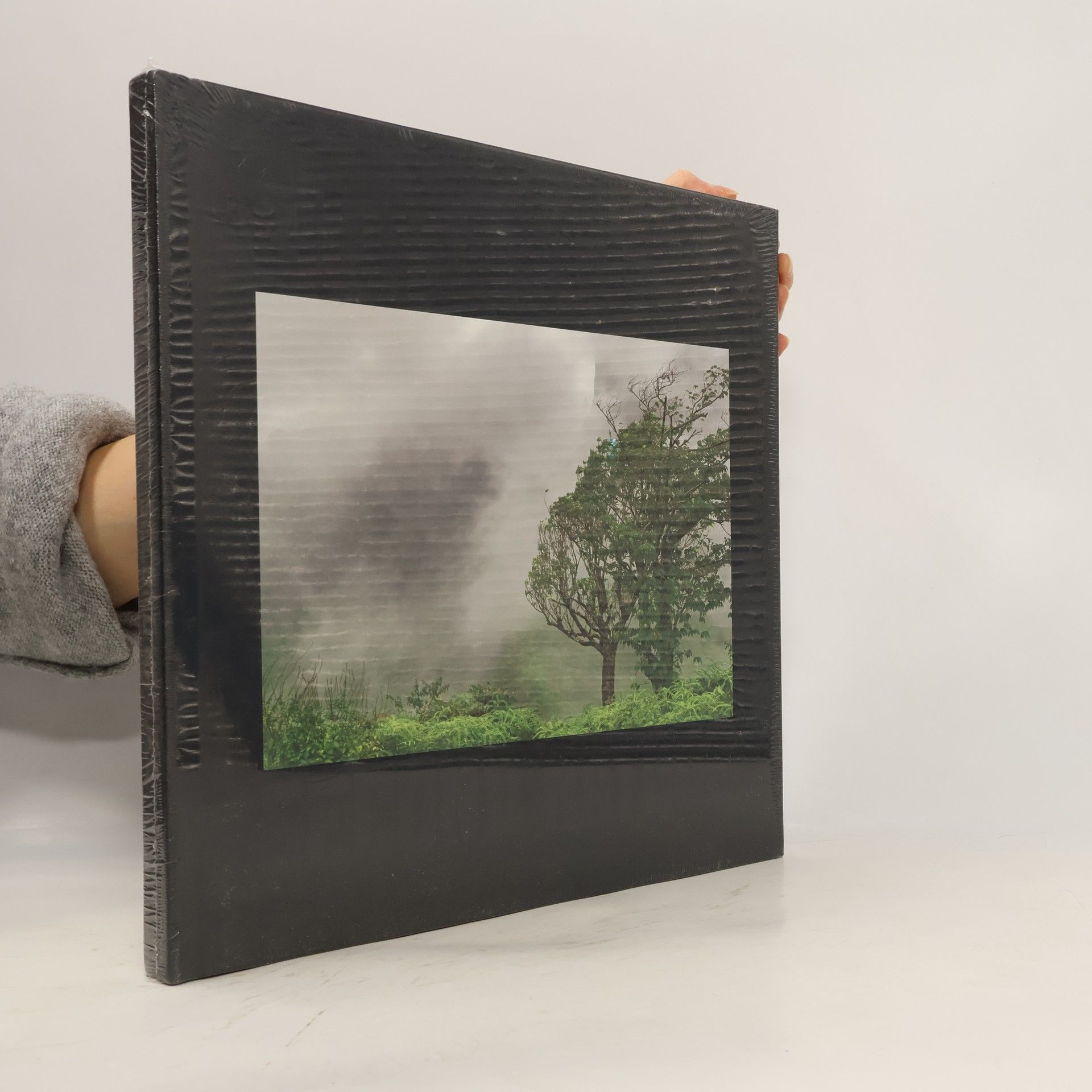 Guy Tillim, Second Nature