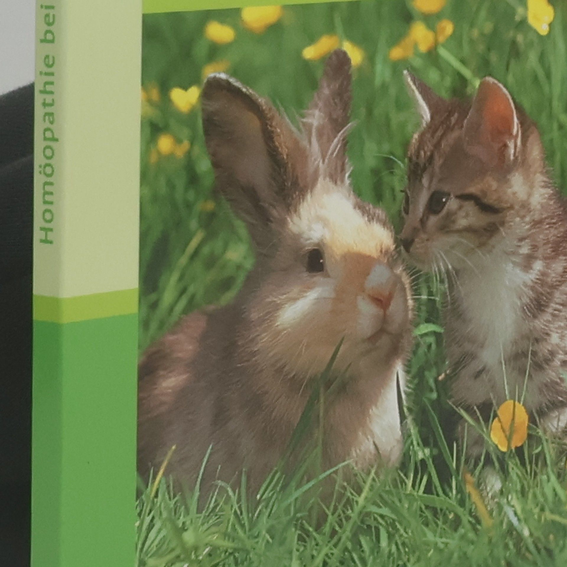 Homöopathie bei Tieren