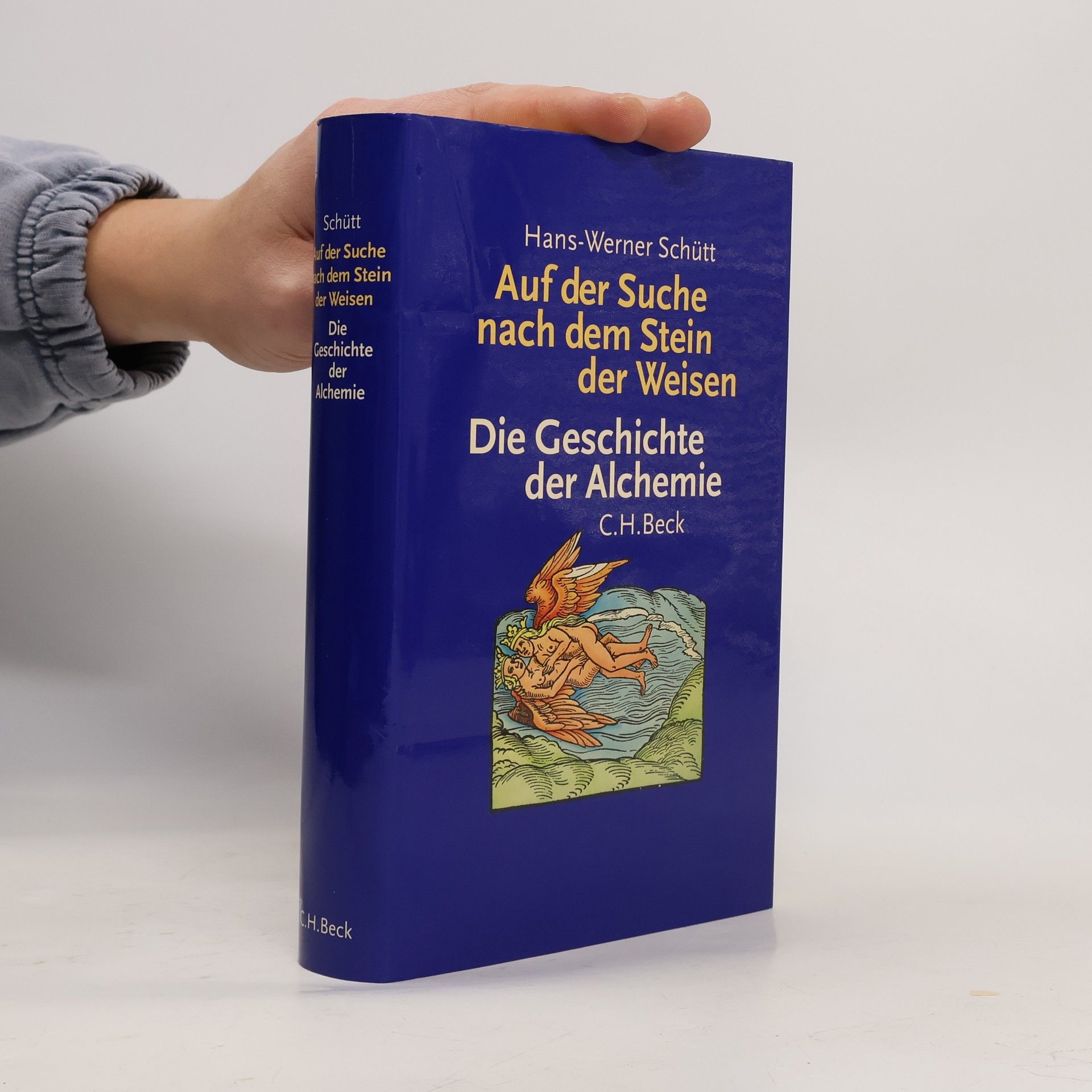 Auf der Suche nach dem Stein der Weisen