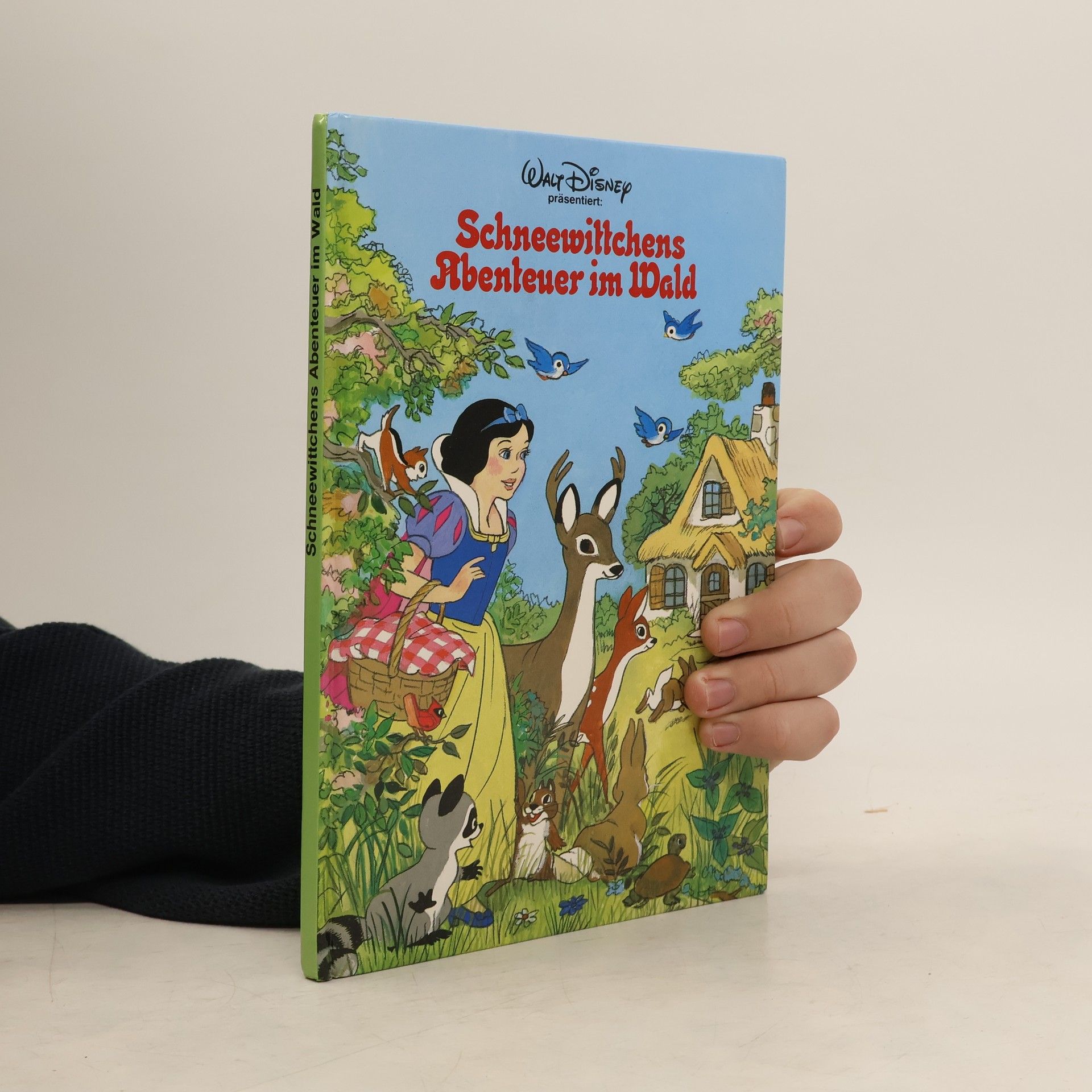 AA.VV. Schneewittchens Abenteuer im Wald