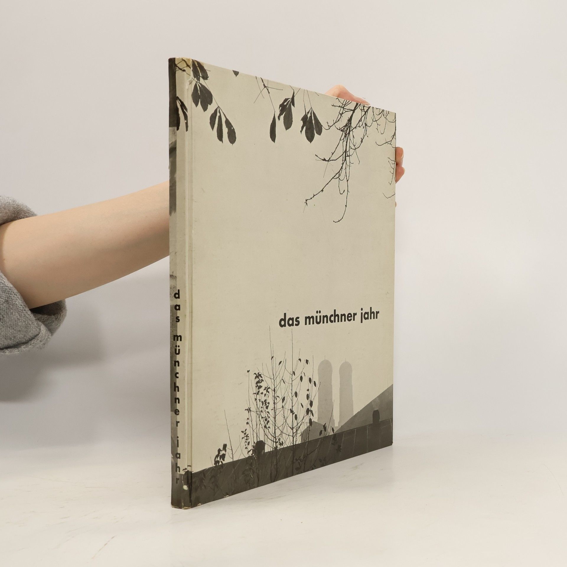 Elisabeth Niggemeyer Das Münchner Jahr