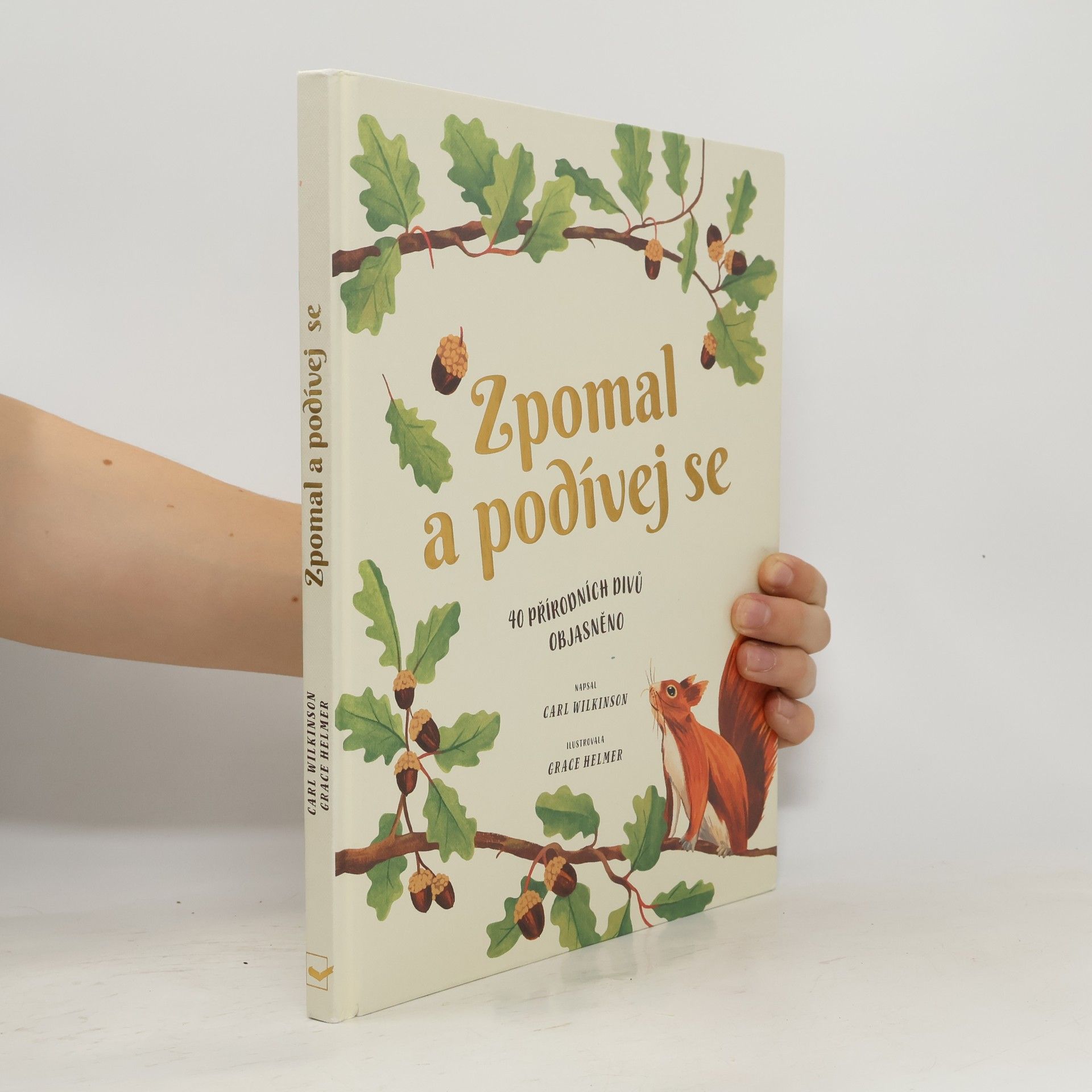 Zpomal a podívej se