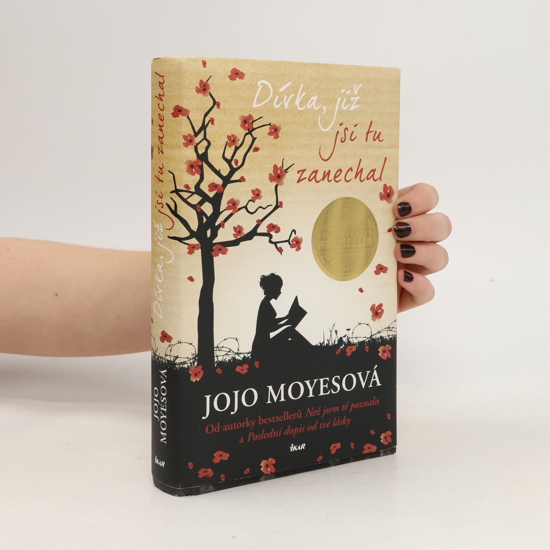 Lucie Mikolajková Dívka, již jsi tu zanechal