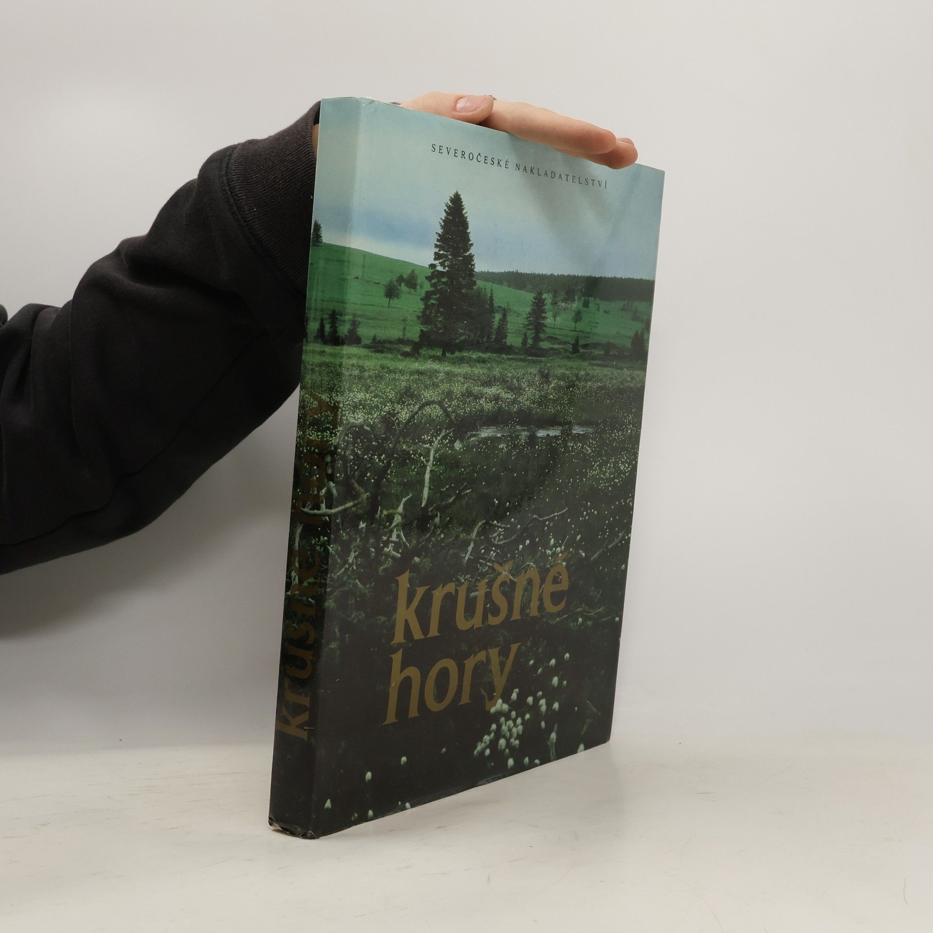 Václav Houžvička Krušné hory