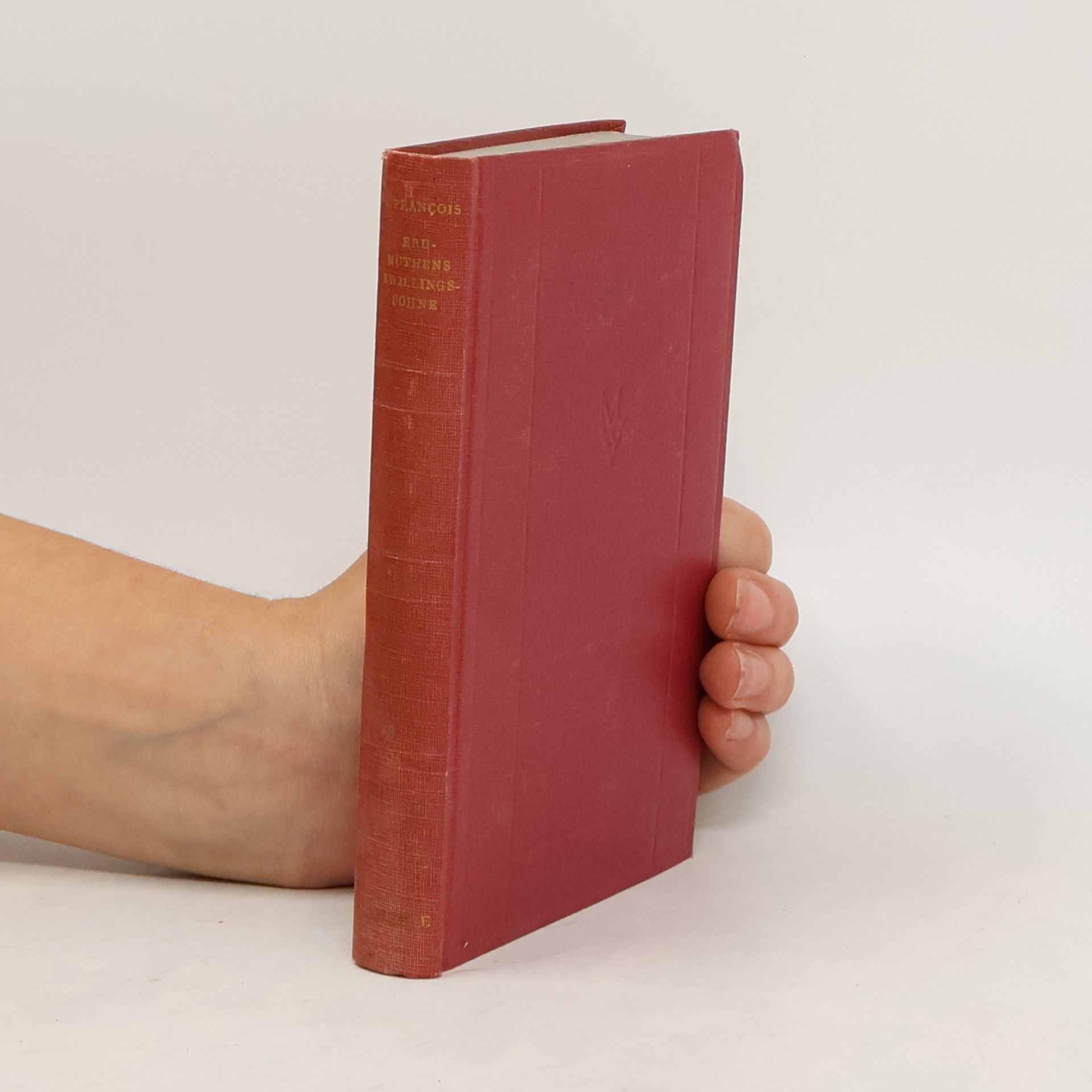 Louise von François Frau Erdmuthens Zwillingssöhne