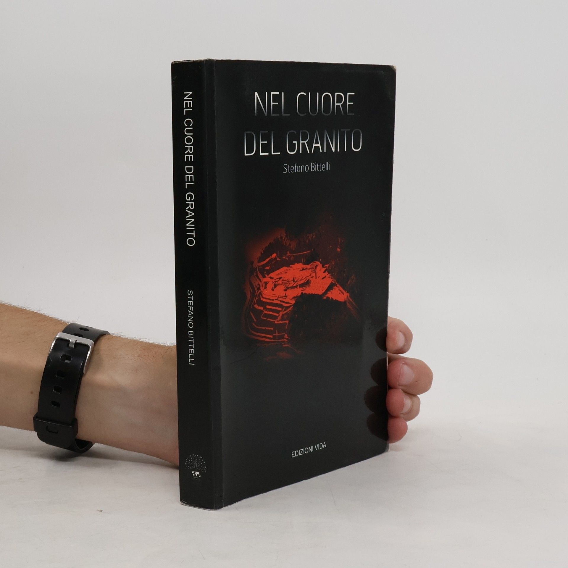 Stefano Bittelli Nel cuore del granito