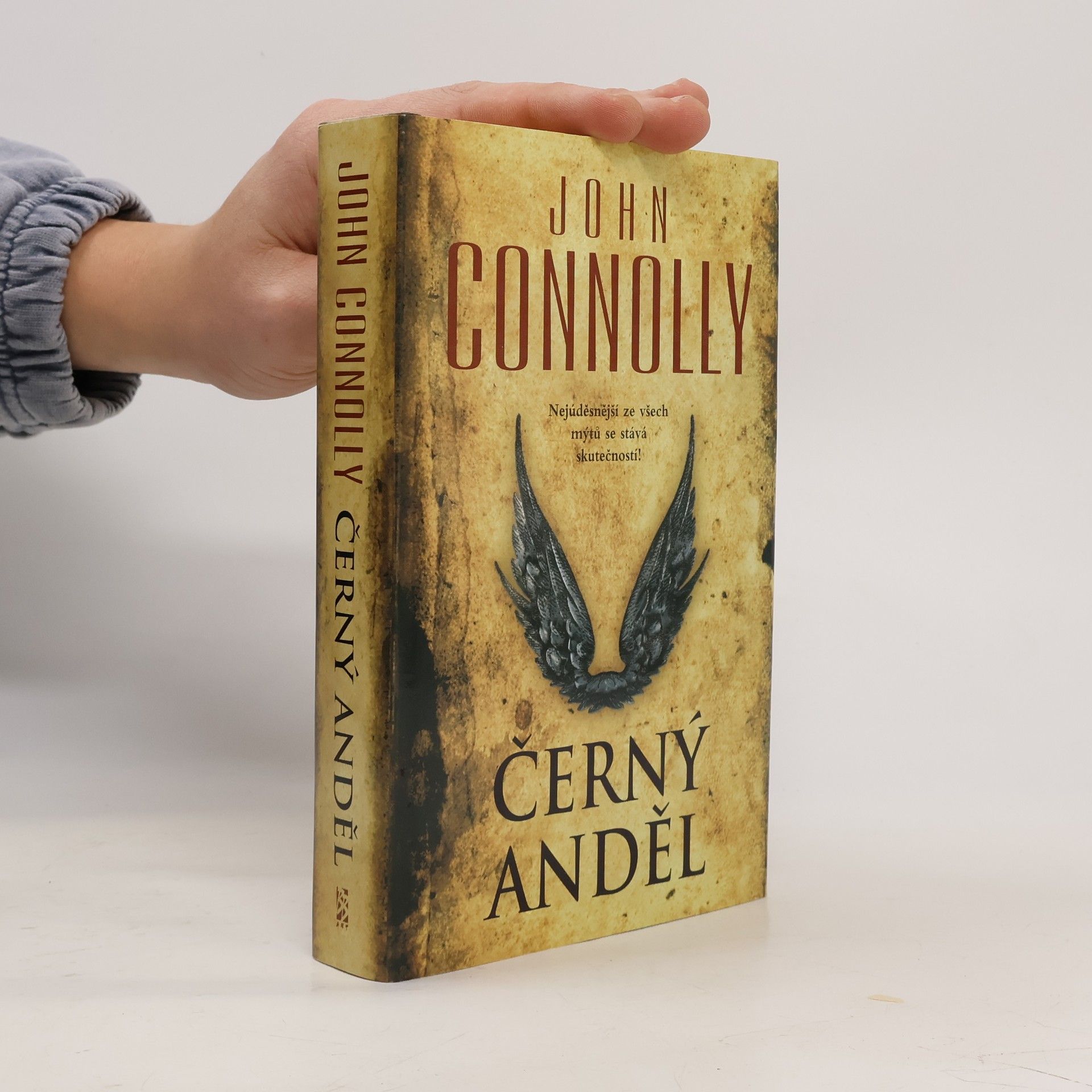 John Connolly Černý anděl