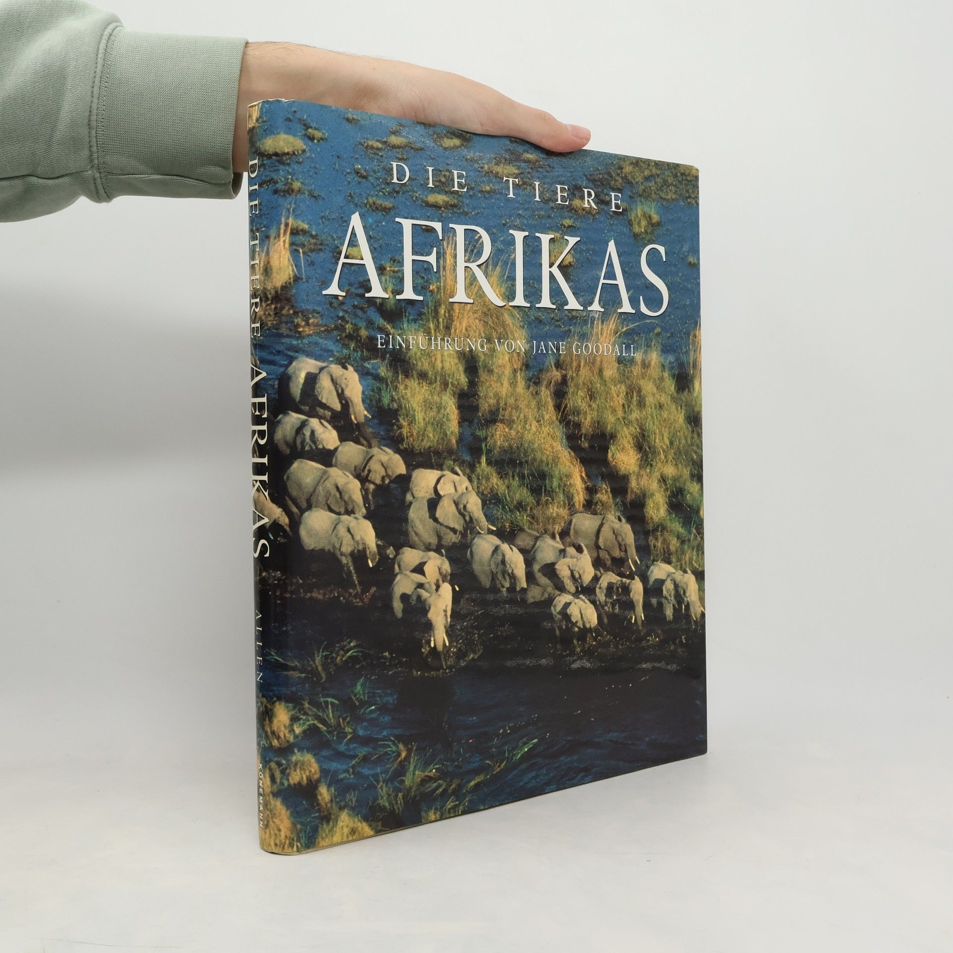 Thomas B. Allen Die Tiere Afrikas