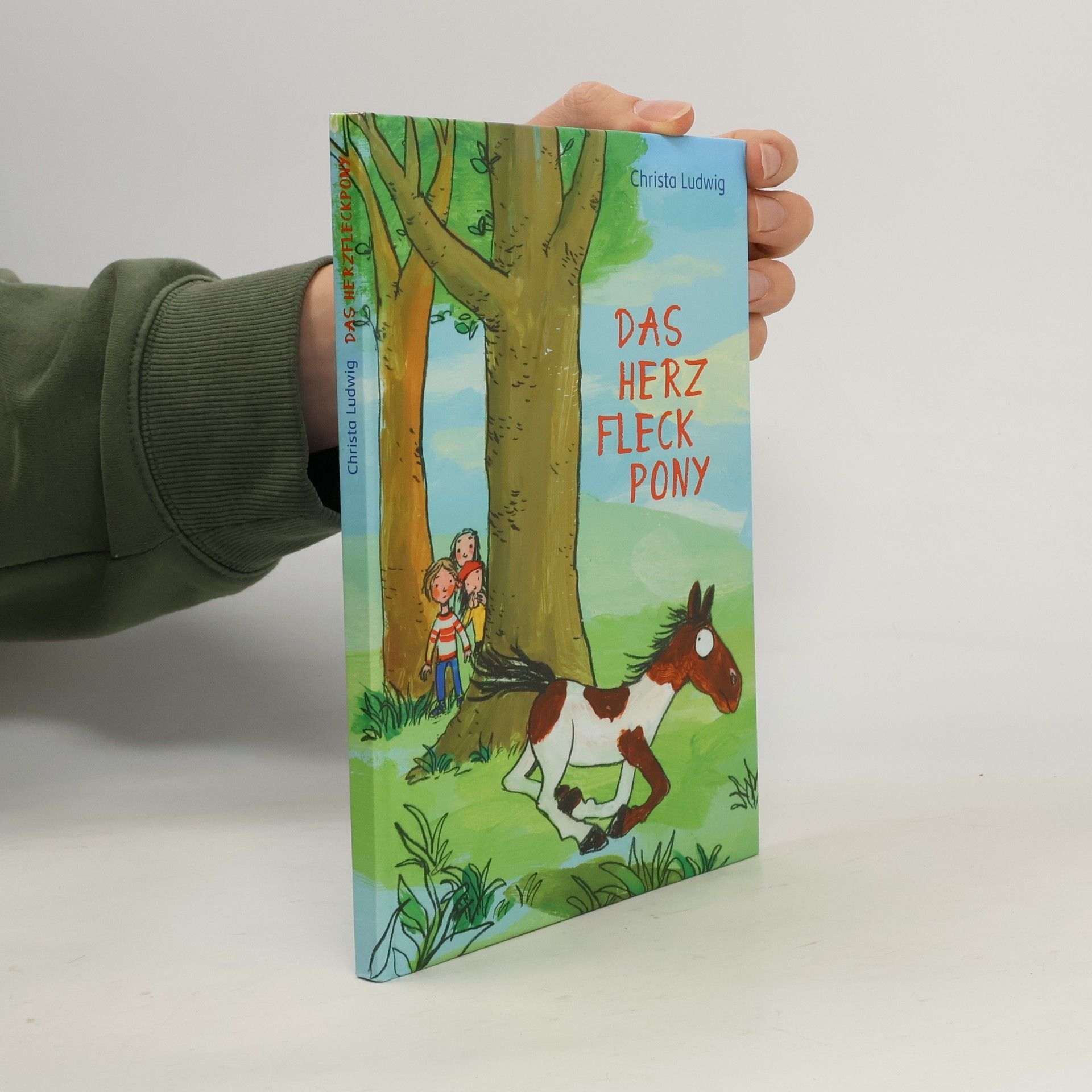 Christa Ludwig Das Herz-Fleck-Pony