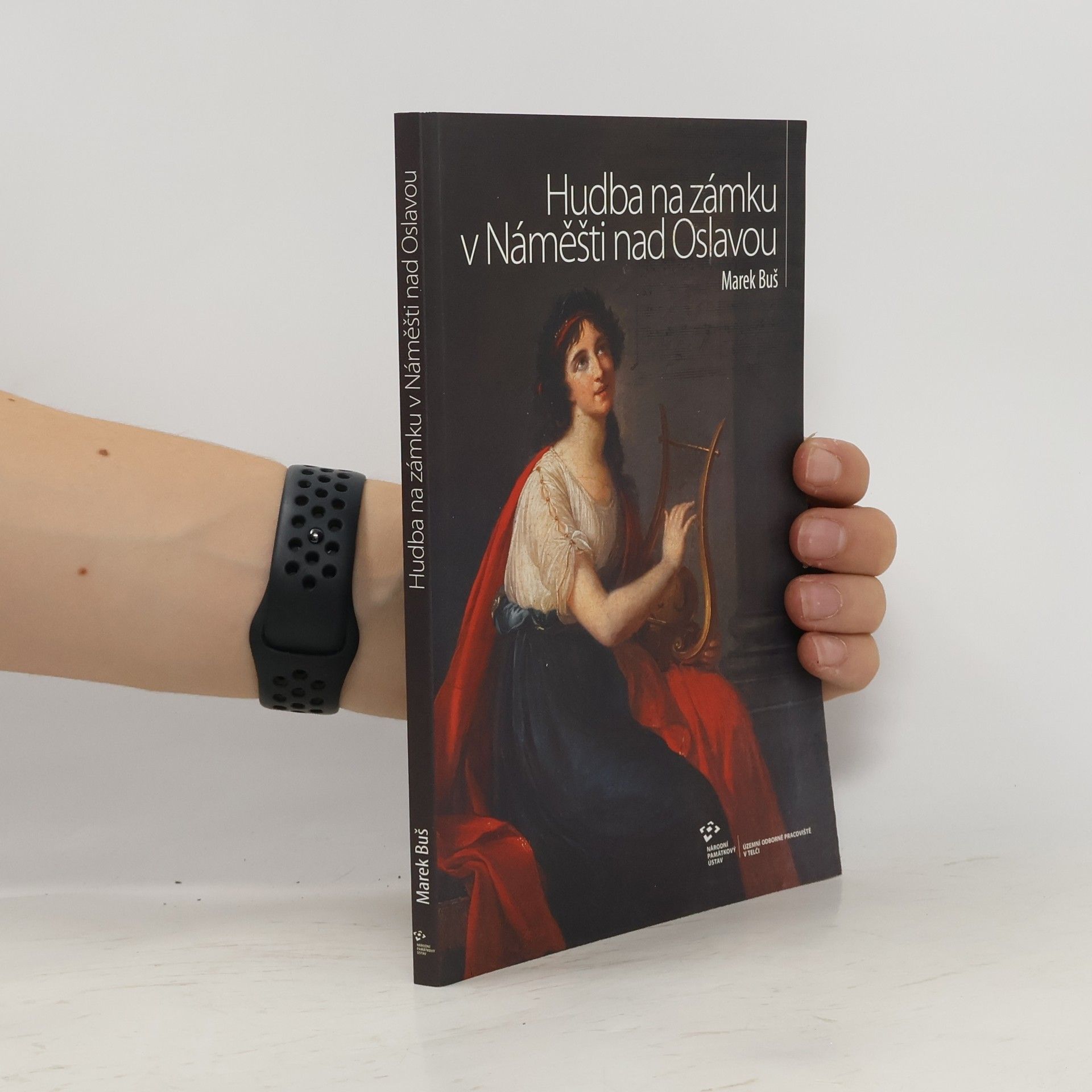 Marek Buš Hudba na zámku v Náměšti nad Oslavou