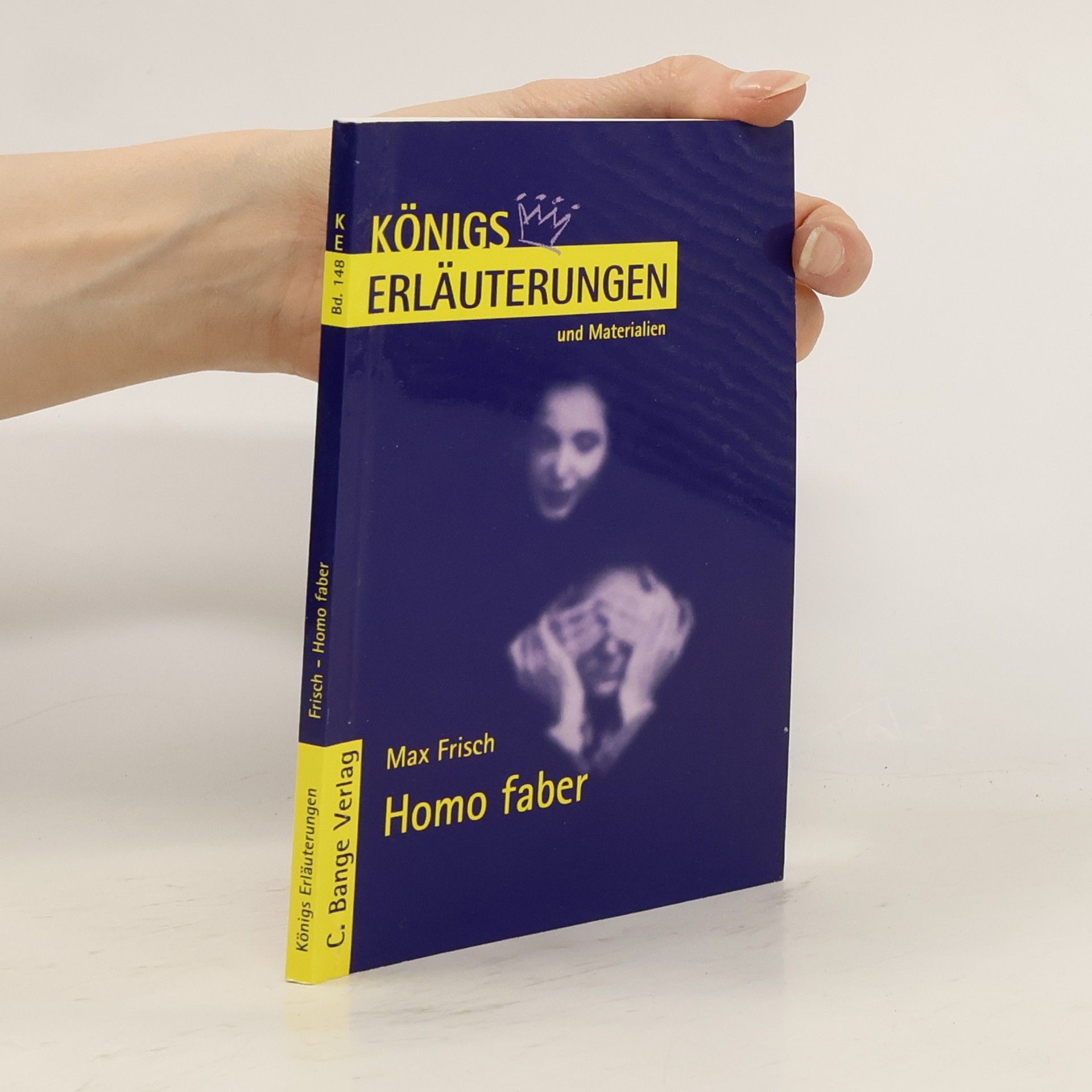 Bernd Matzkowski Erläuterungen zu Max Frisch, Homo faber