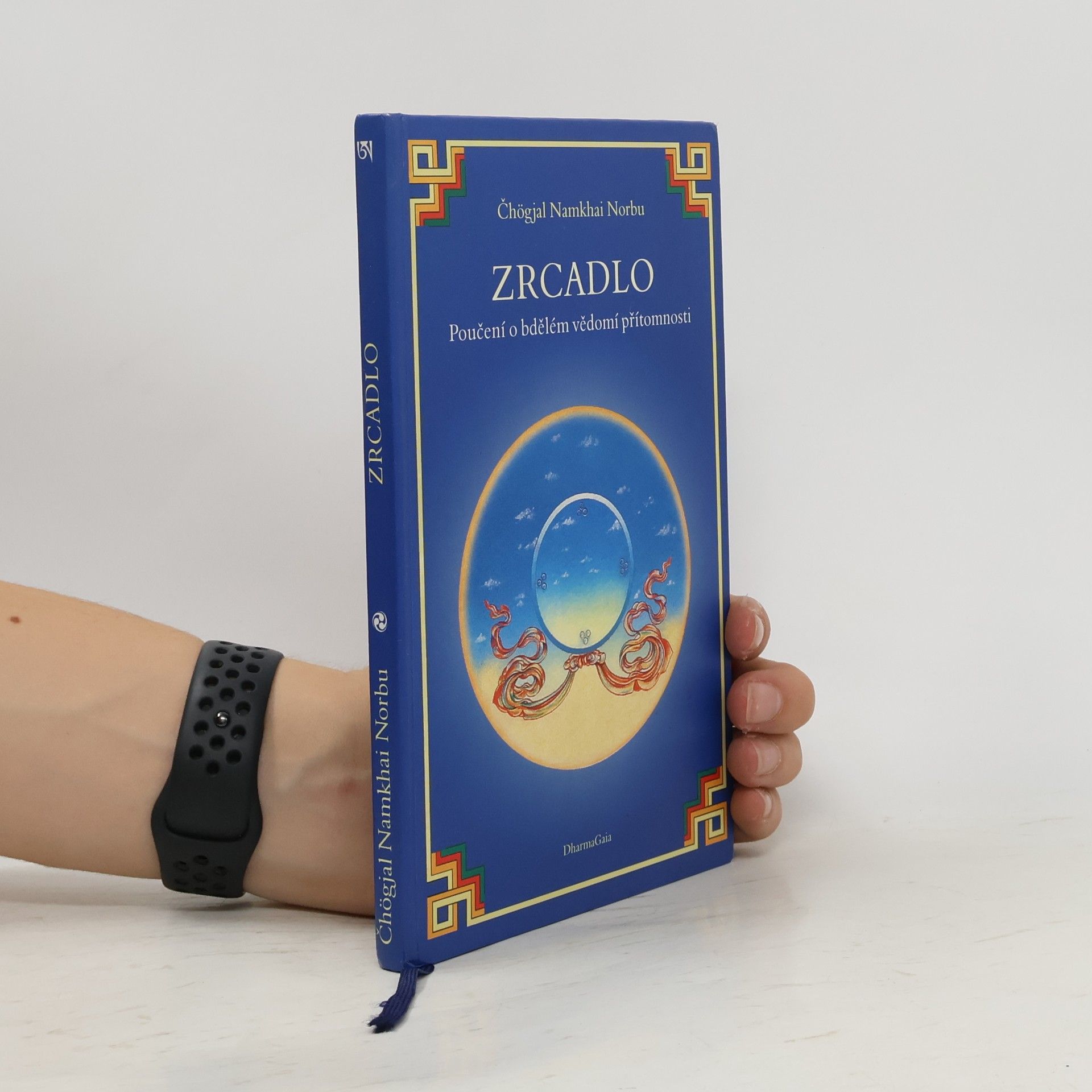 Čhögjal Namkhai Norbu Zrcadlo: Poučení o bdělém vědomí přítomnosti