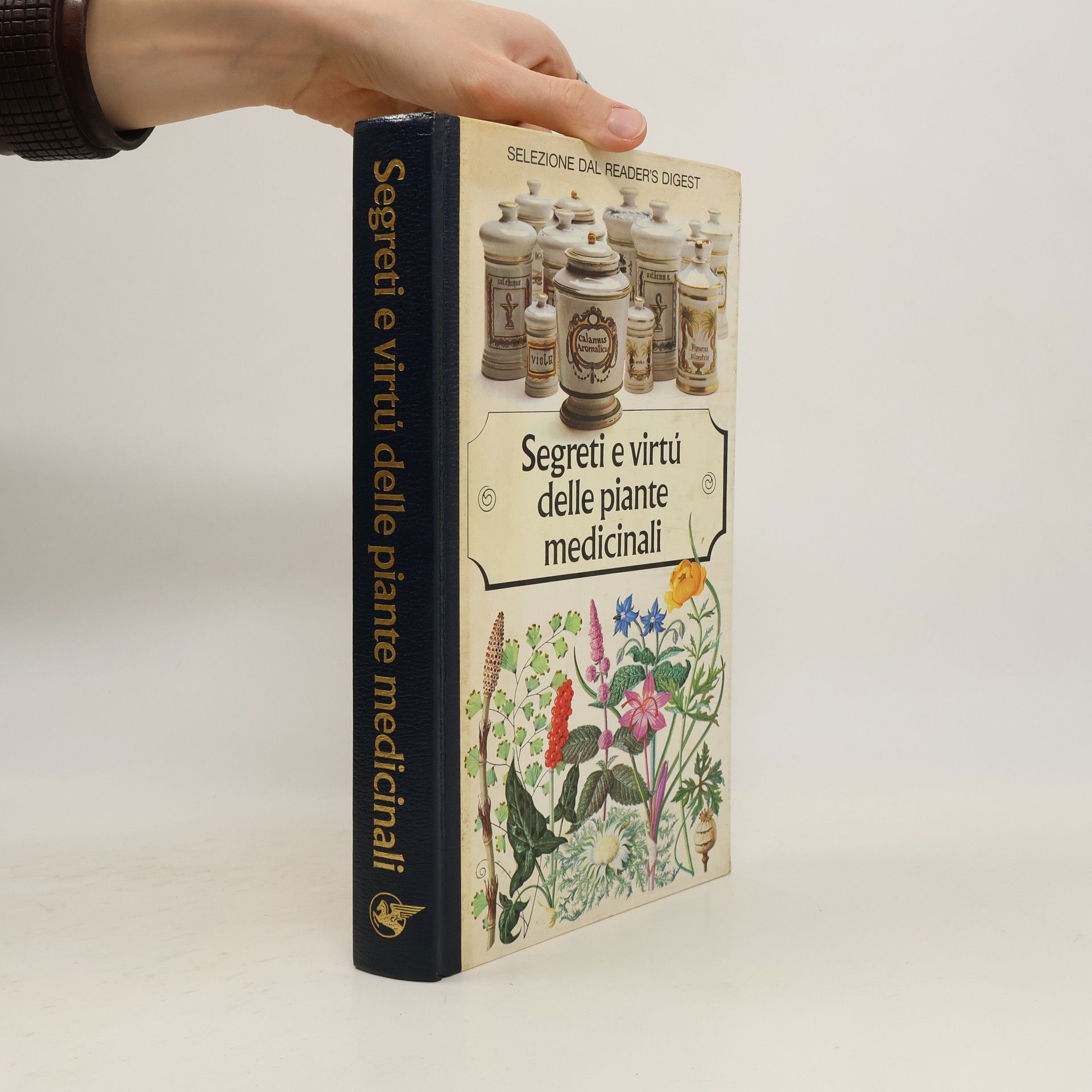 Collectif d'auteurs Segreti e virtú delle piante medicinali