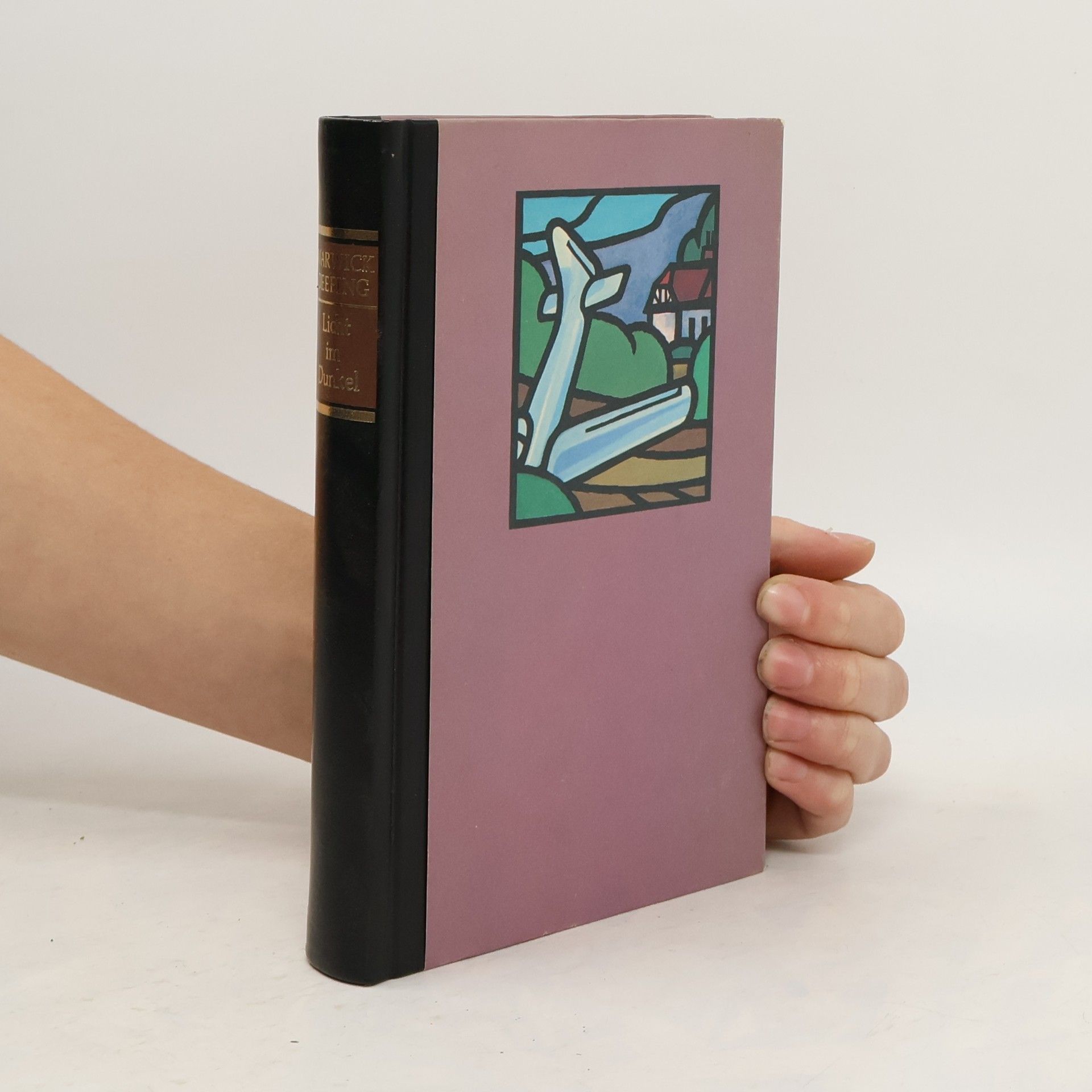 Warwick Deeping Licht im Dunkel