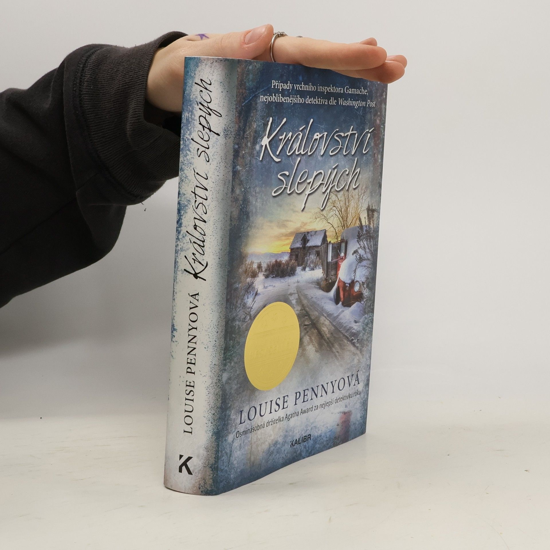 Louise Penny Království slepých