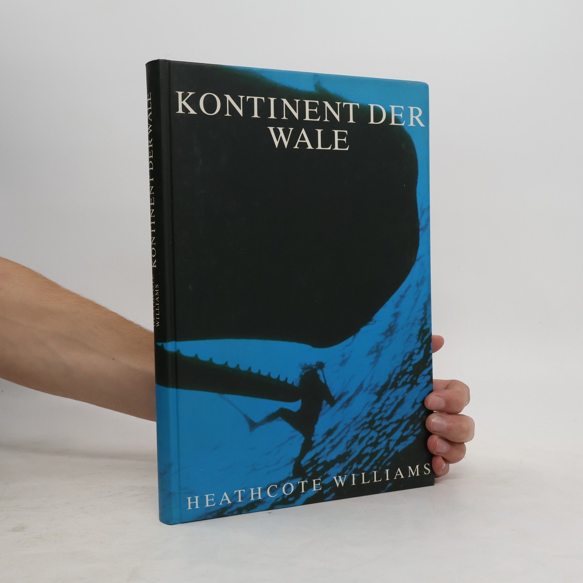Kontinent der Wale
