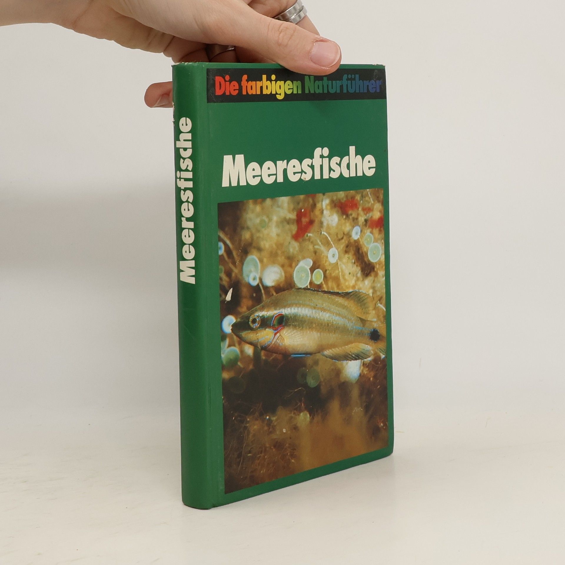 Autorenkollektiv Meeresfische