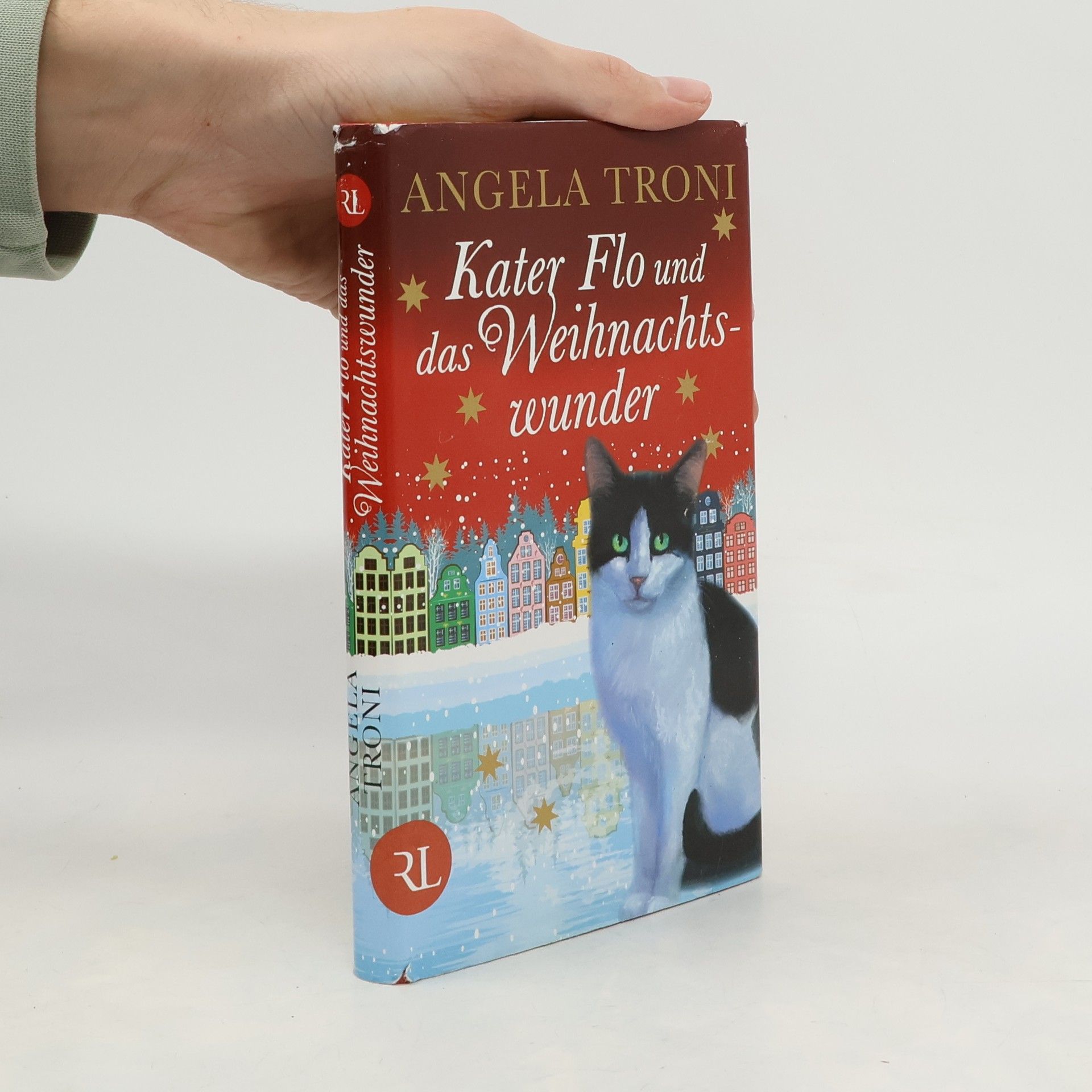 Kater Flo und das Weihnachtswunder