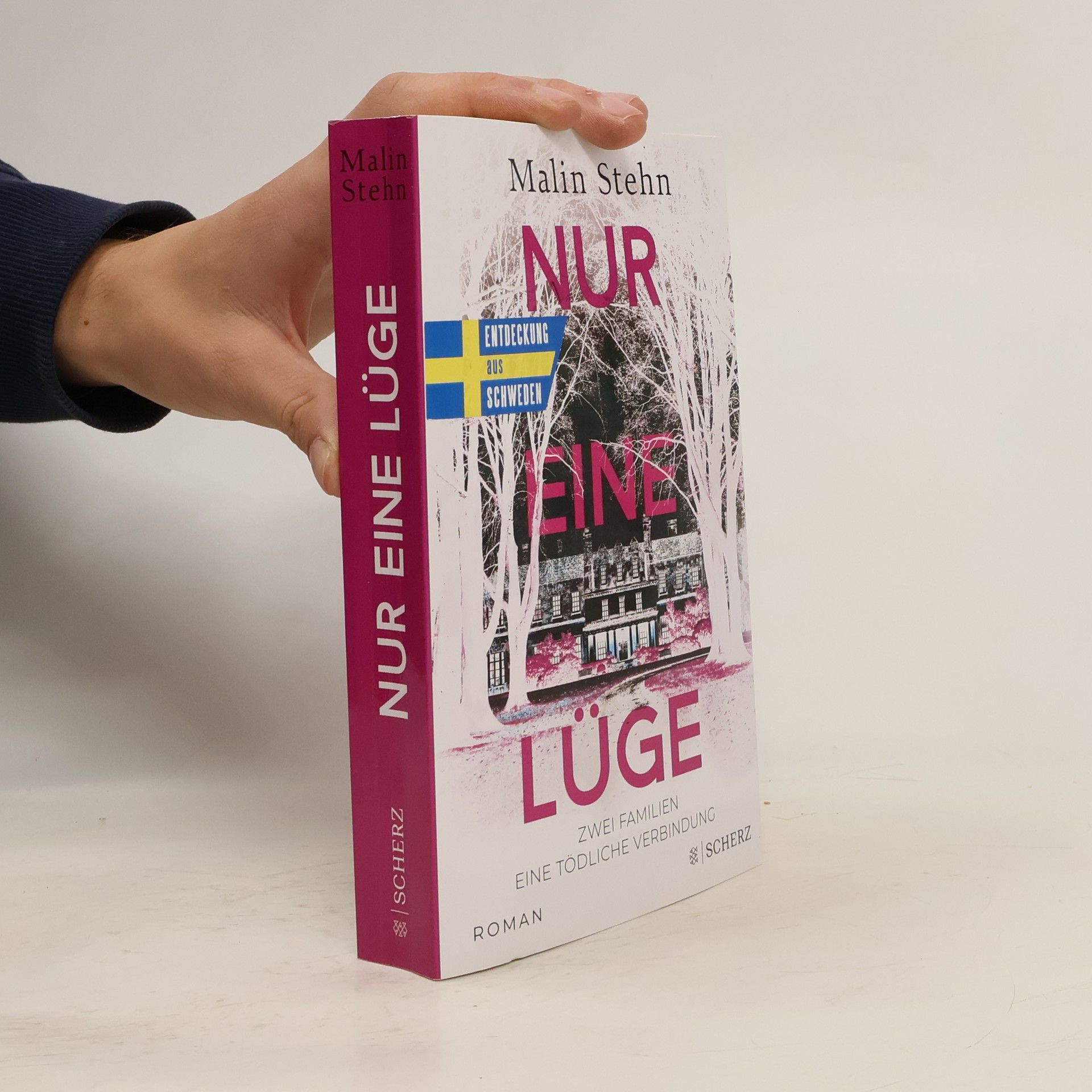 Nur eine Lüge – Zwei Familien, eine tödliche Verbindung
