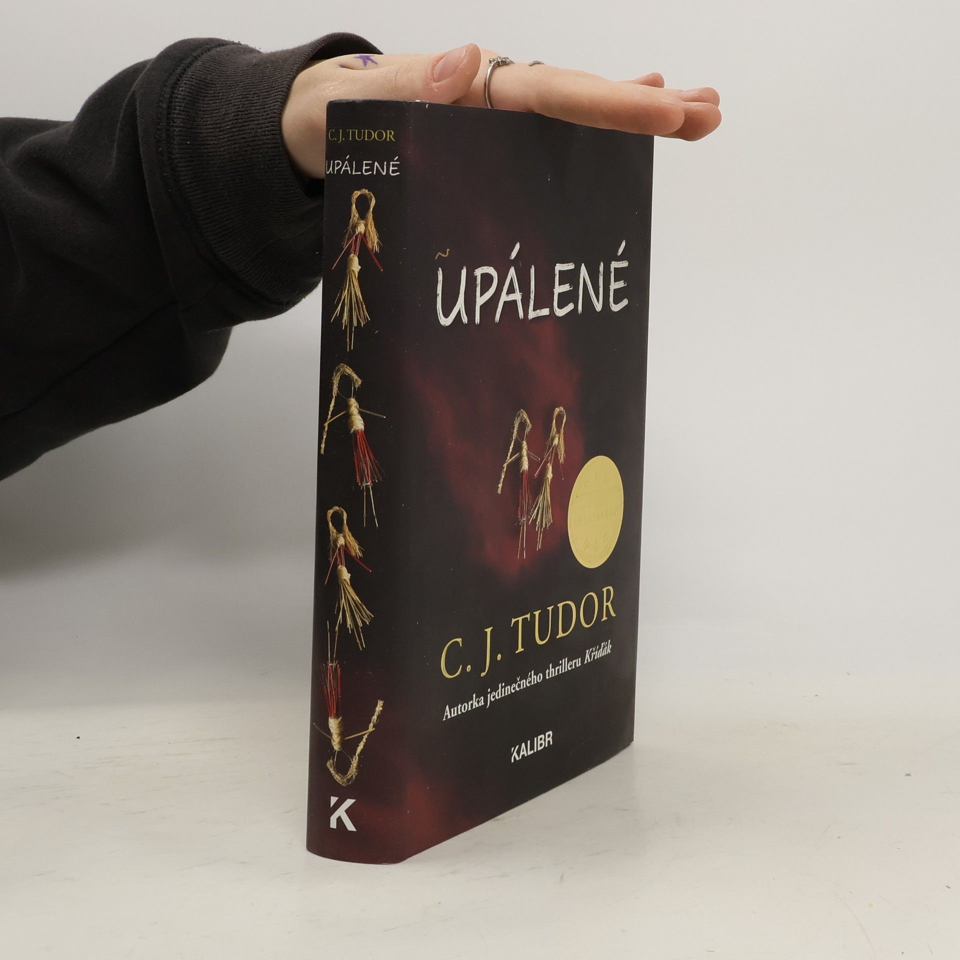 C. J. Tudor Upálené