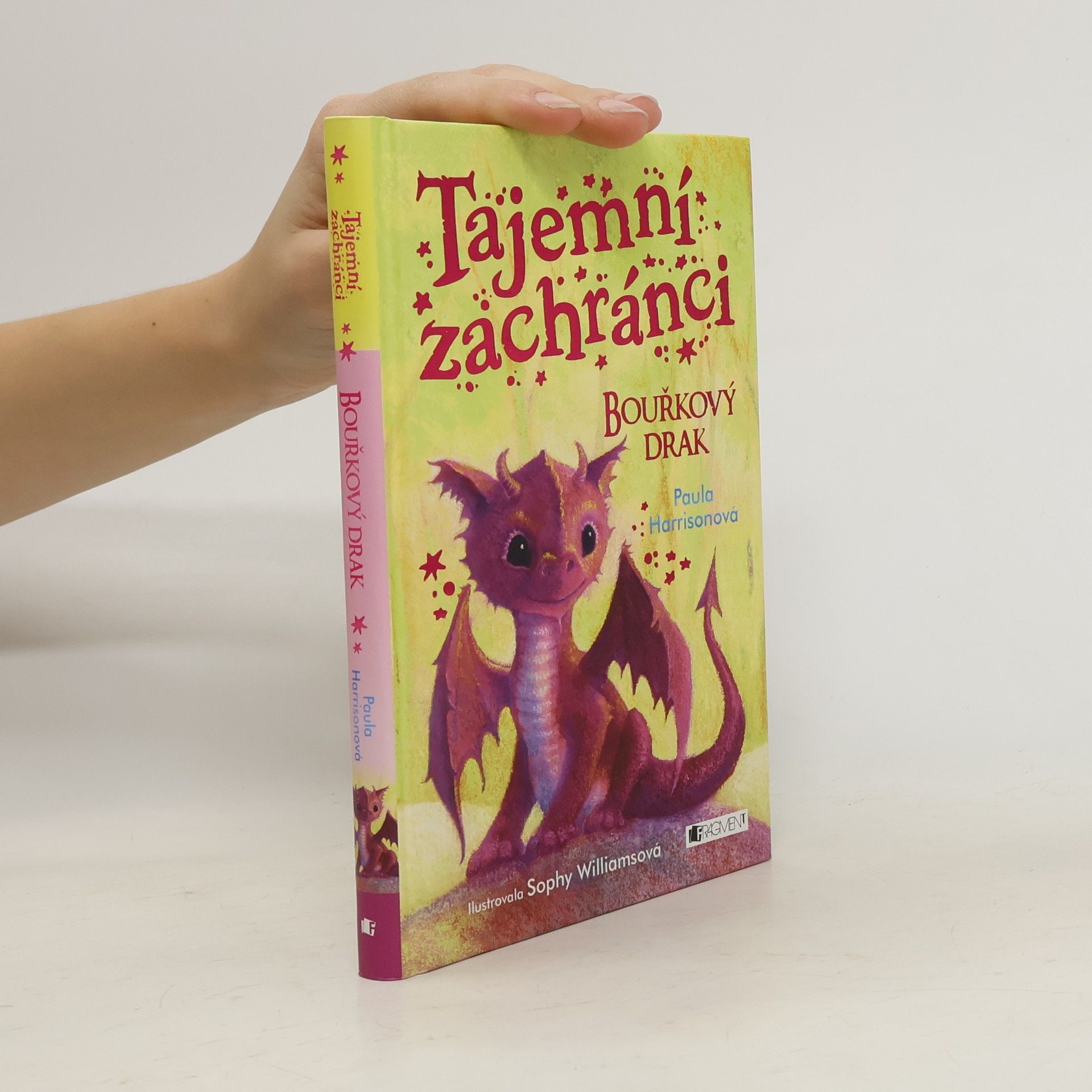 Paula Harrison Tajemní zachránci - Bouřkový drak