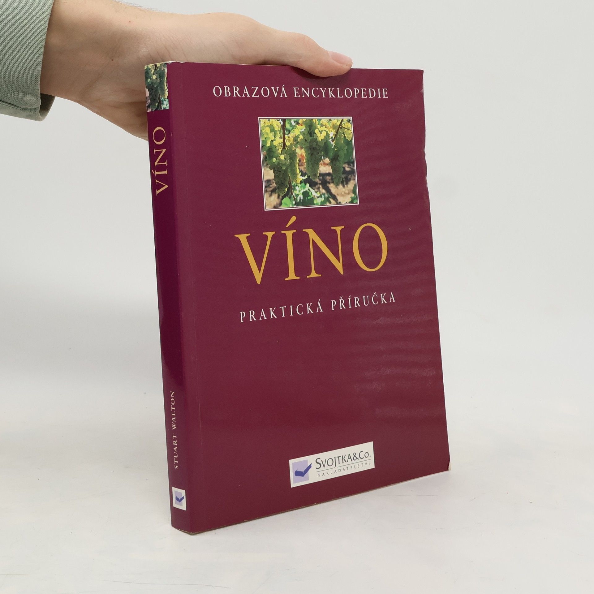 Stuart Walton Víno - praktická příručka