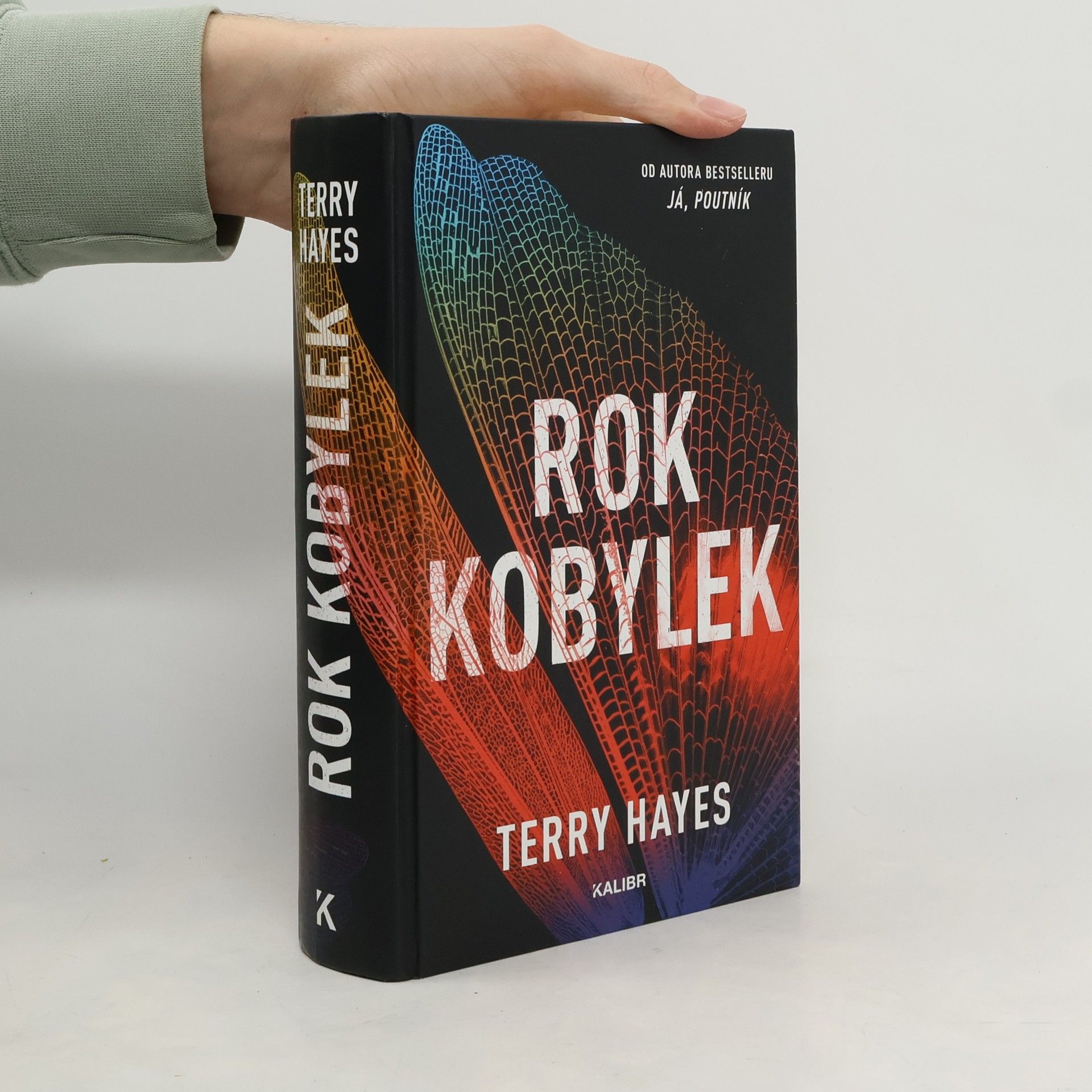Terry Hayes Rok kobylek