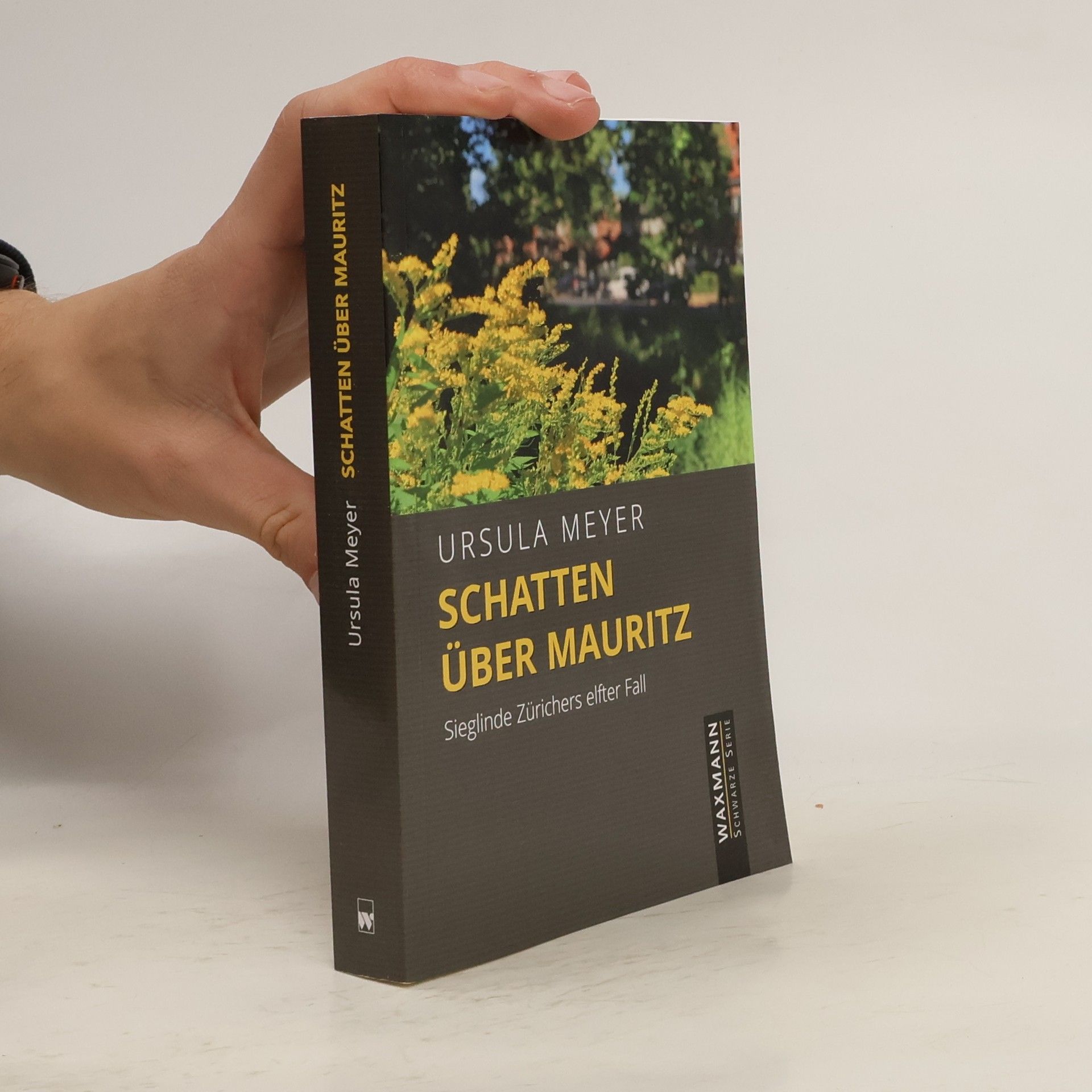 Ursula Meyer-Semlies Schatten über Mauritz