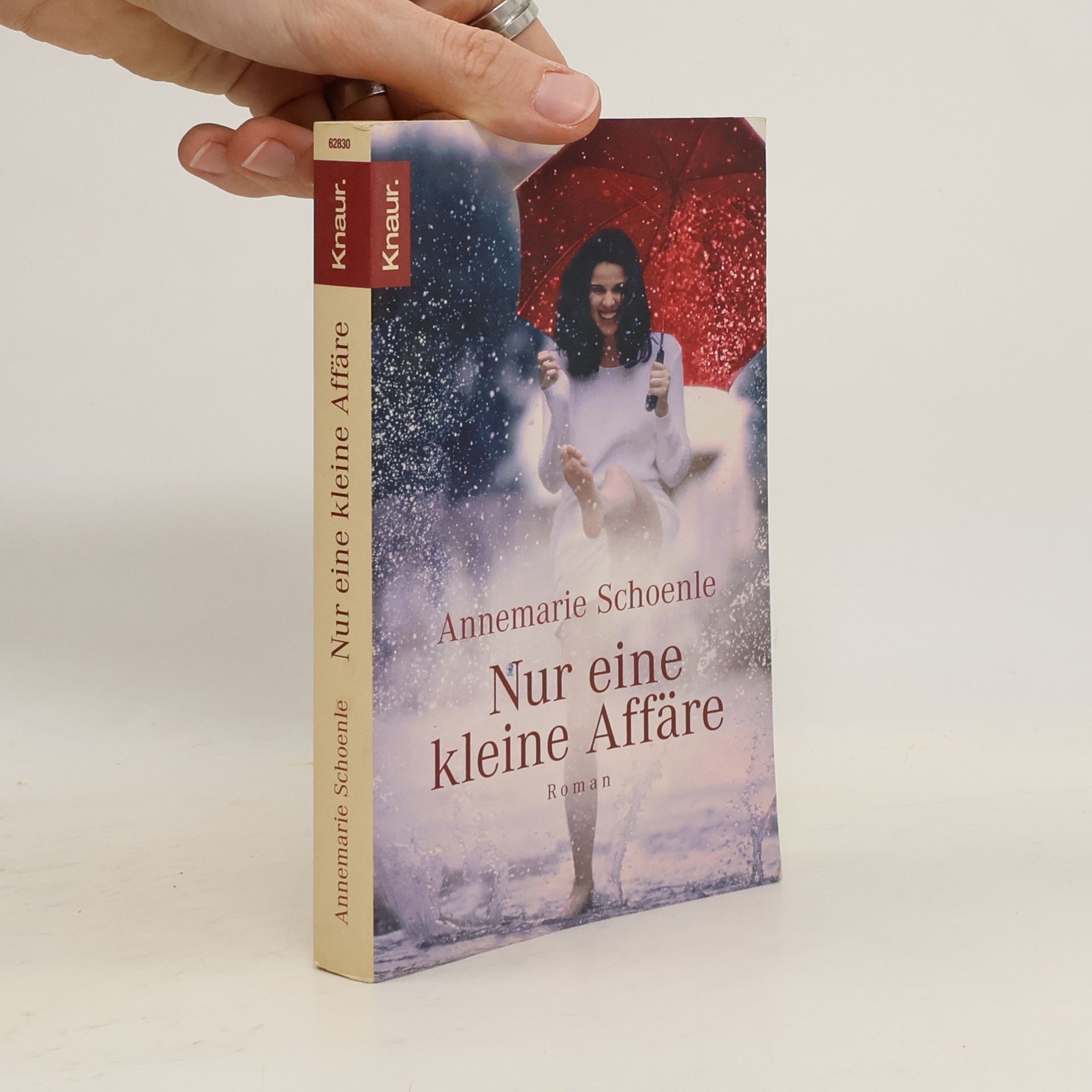 Annemarie Schoenle Nur eine kleine Affäre