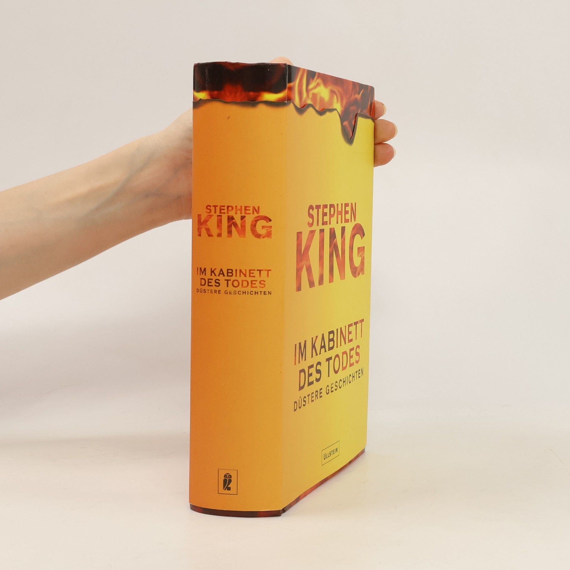 Stephen King Im Kabinett des Todes