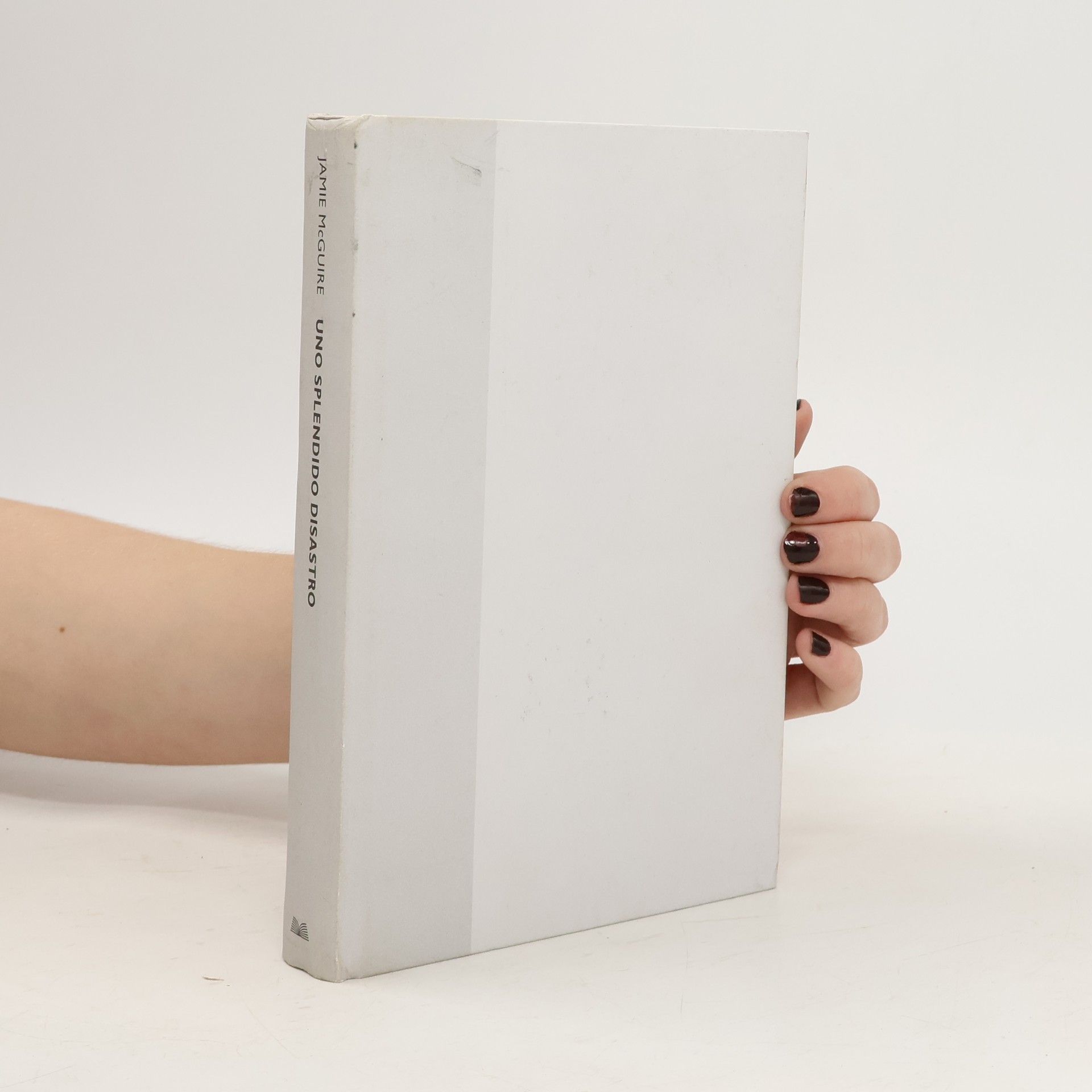 Jamie McGuire Uno splendido disastro