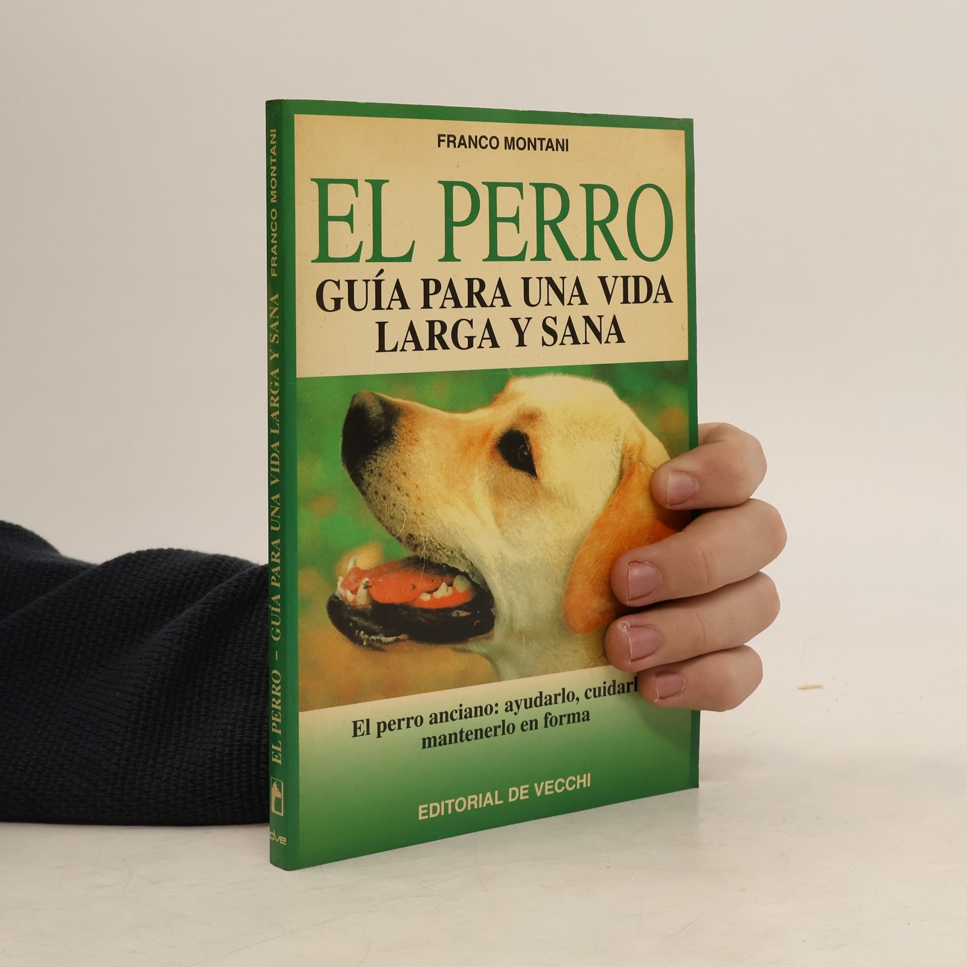 Franco Montani El Perro Anciano