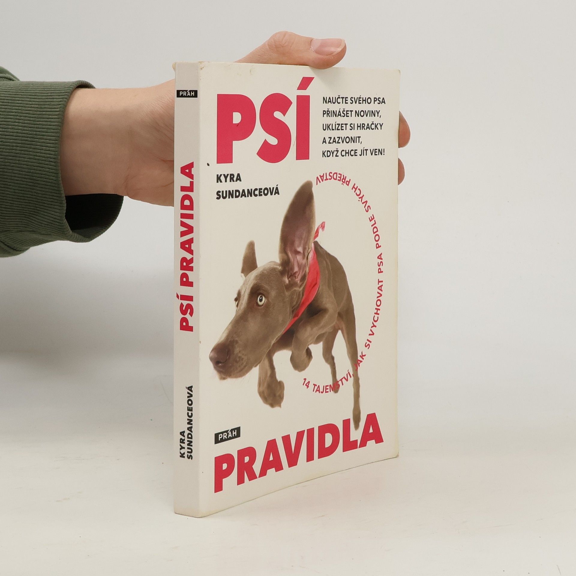 Kyra Sundance Psí pravidla