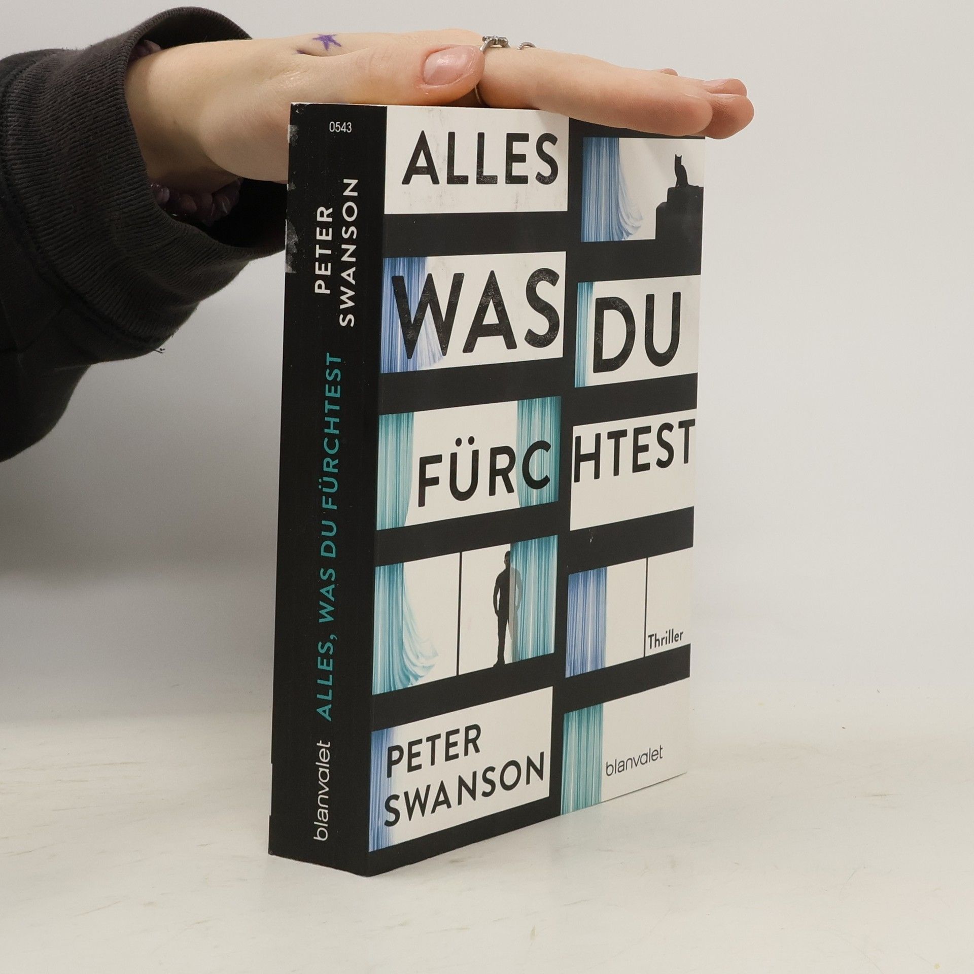 Peter Swanson Alles, was du fürchtest