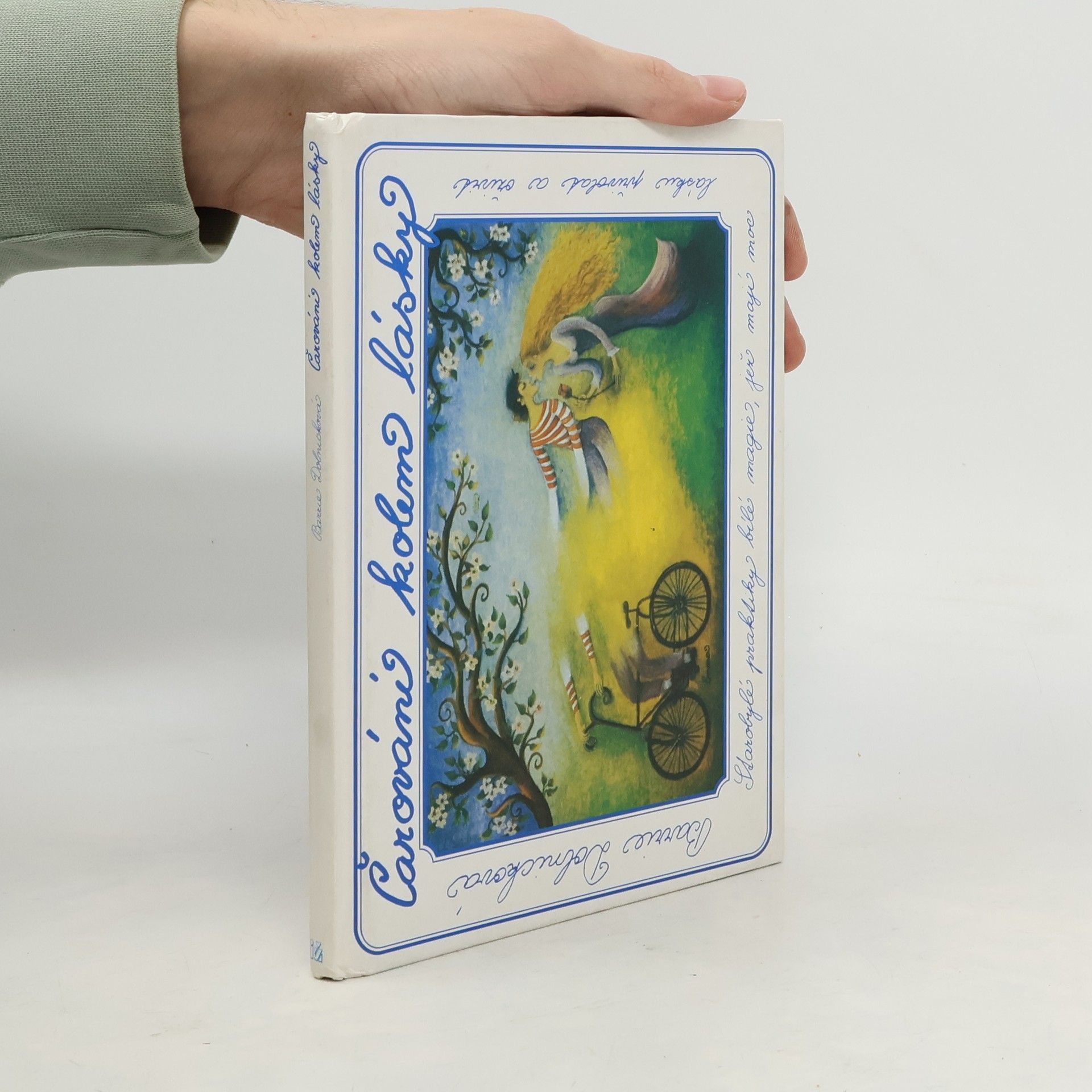 Barrie Dolnick Čarování kolem lásky