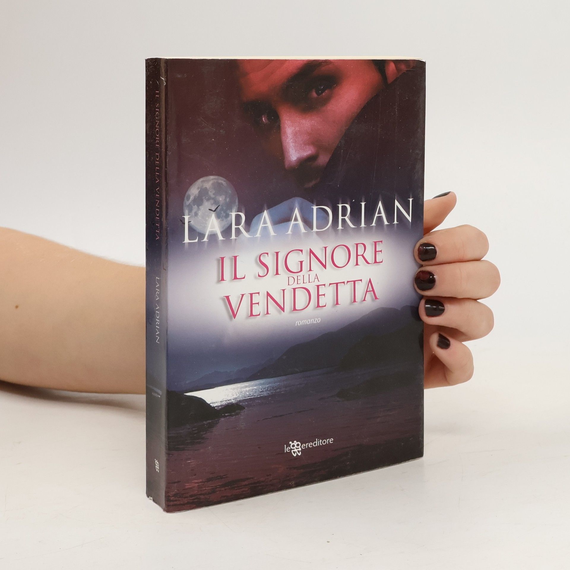 Il signore della vendetta