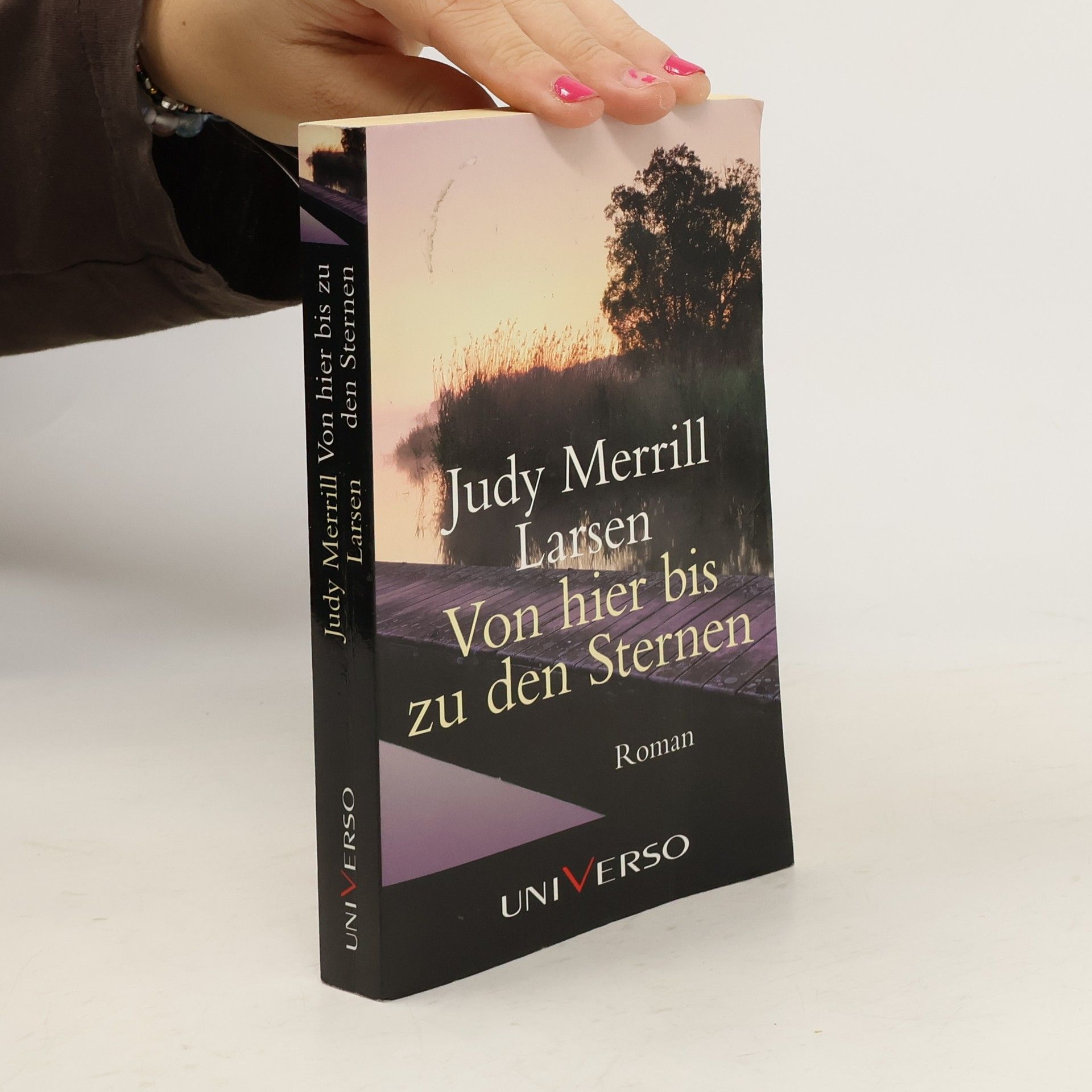 Judy Merrill Larsen Von hier bis zu den Sternen