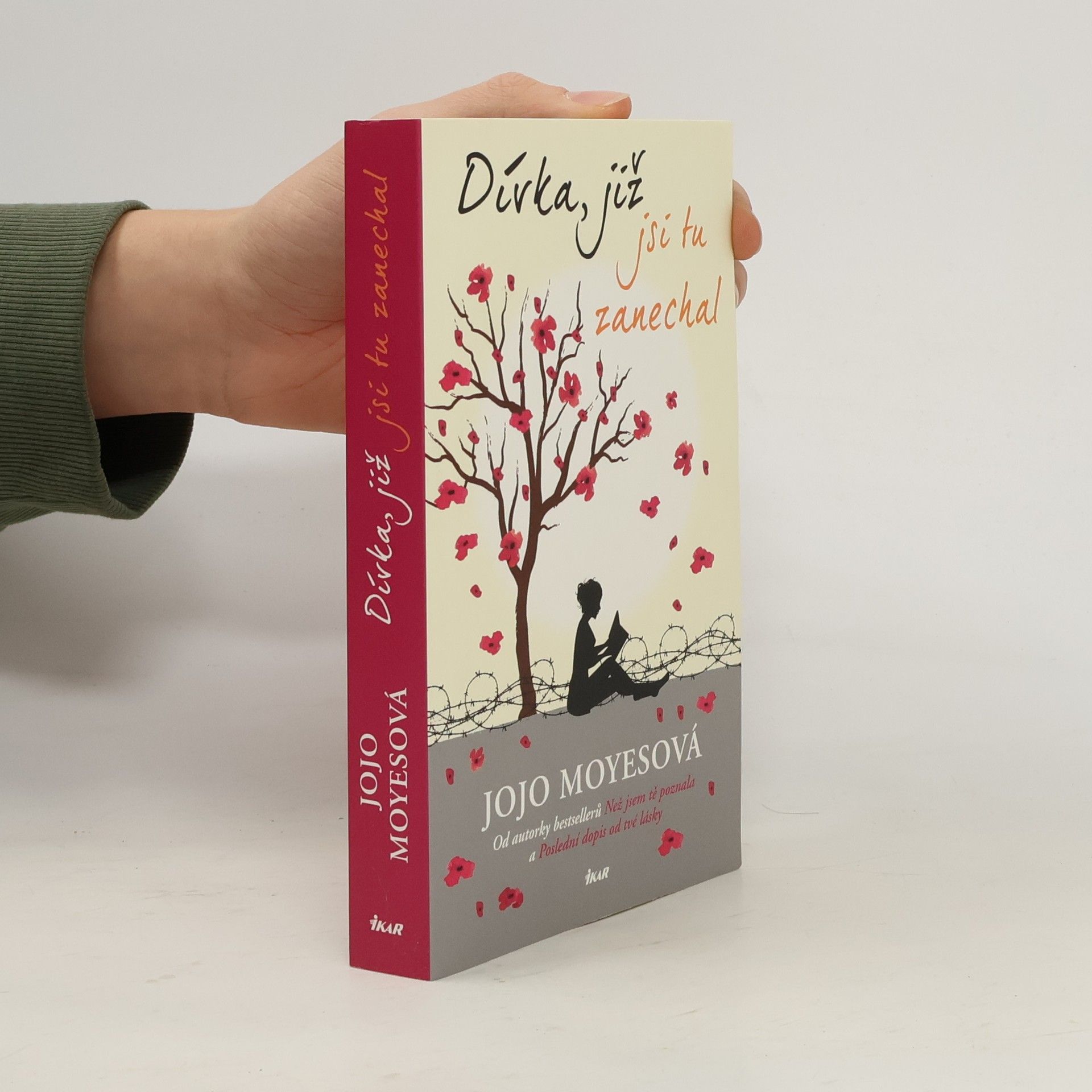 Jojo Moyes Dívka, již jsi tu zanechal