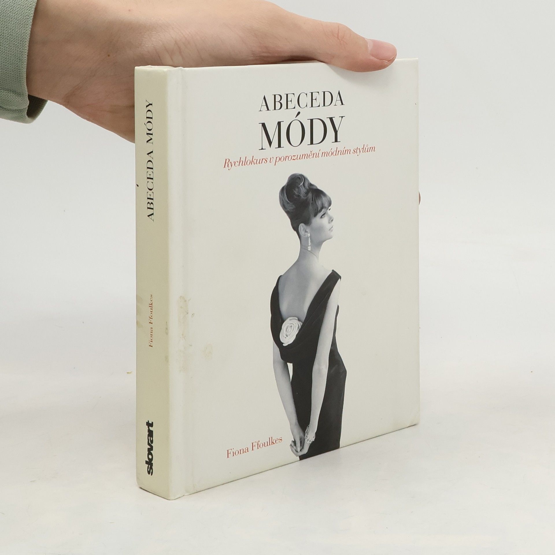 Fiona Ffoulkes Abeceda módy: Rychlokurs v porozumění módním stylům