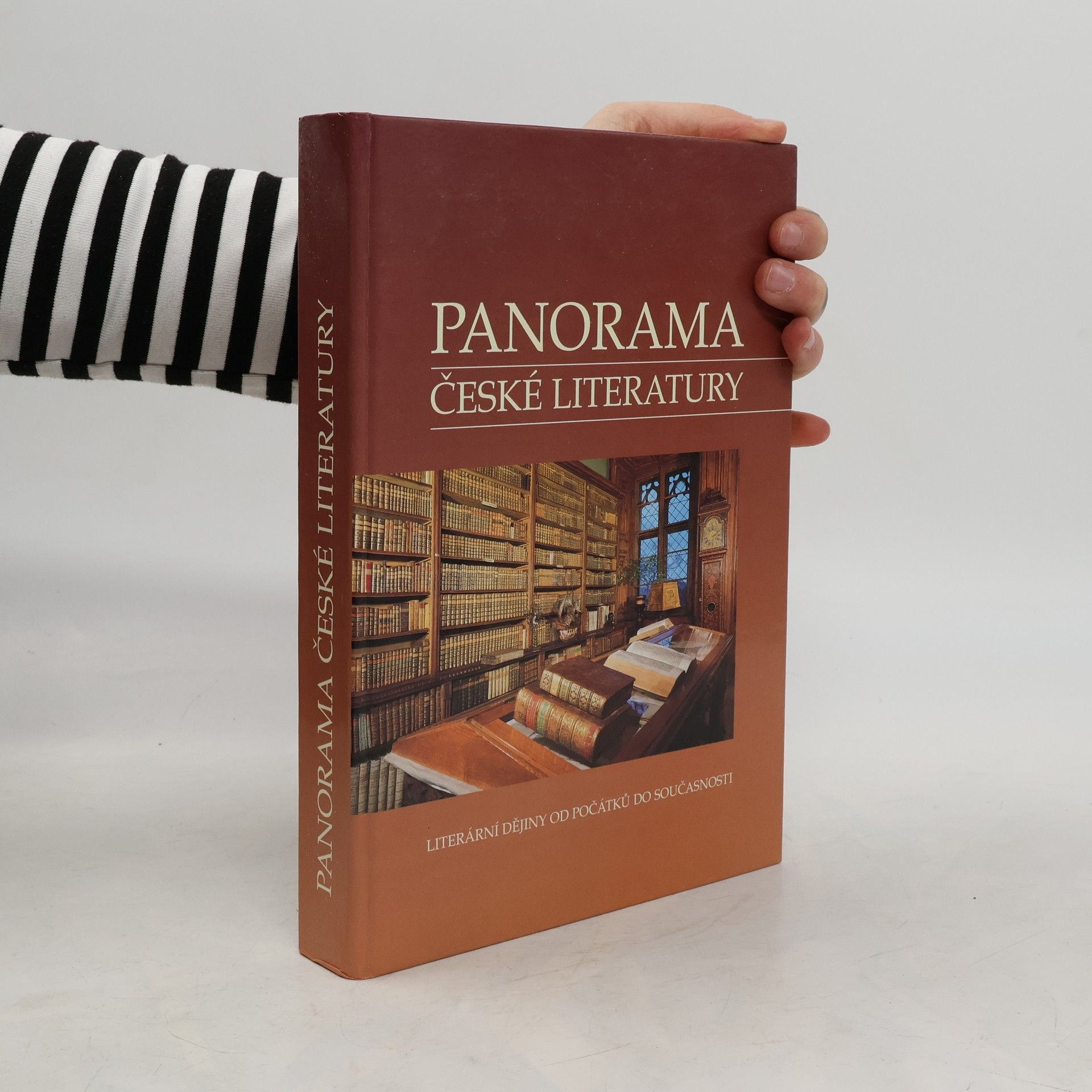 Collectif d'auteurs Panorama české literatury. Literární dějiny od počátků do současnosti