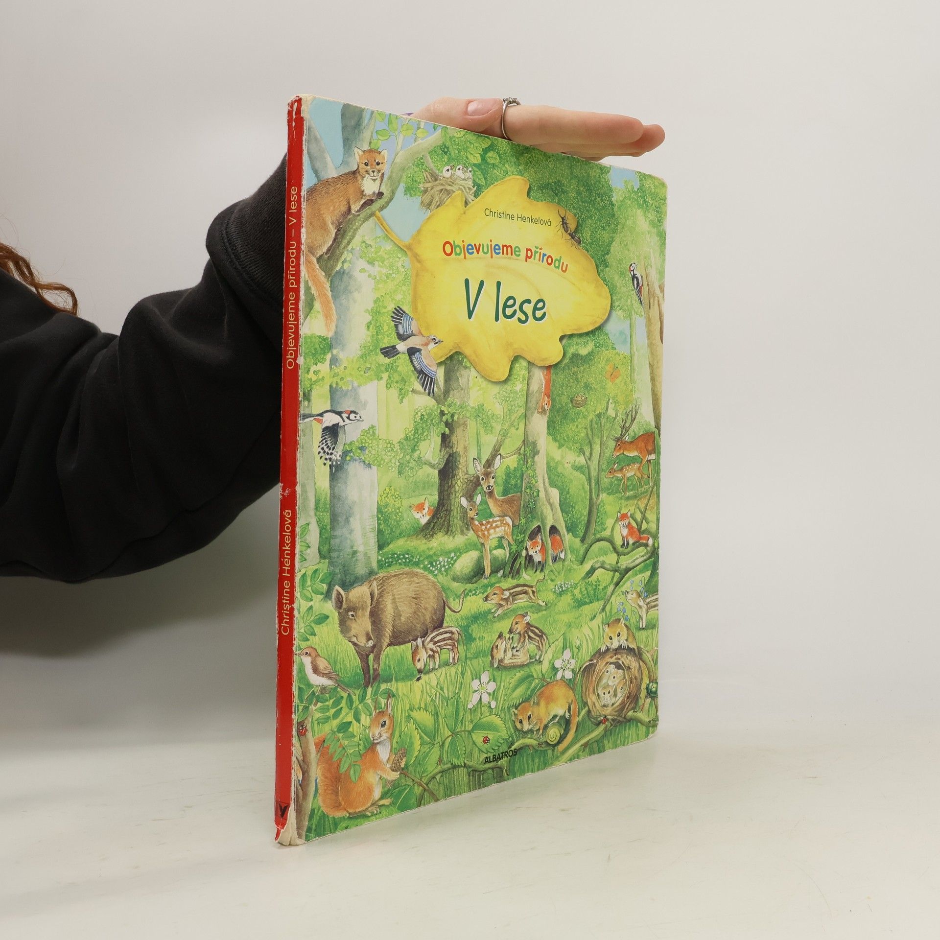 Christine Henkel V lese