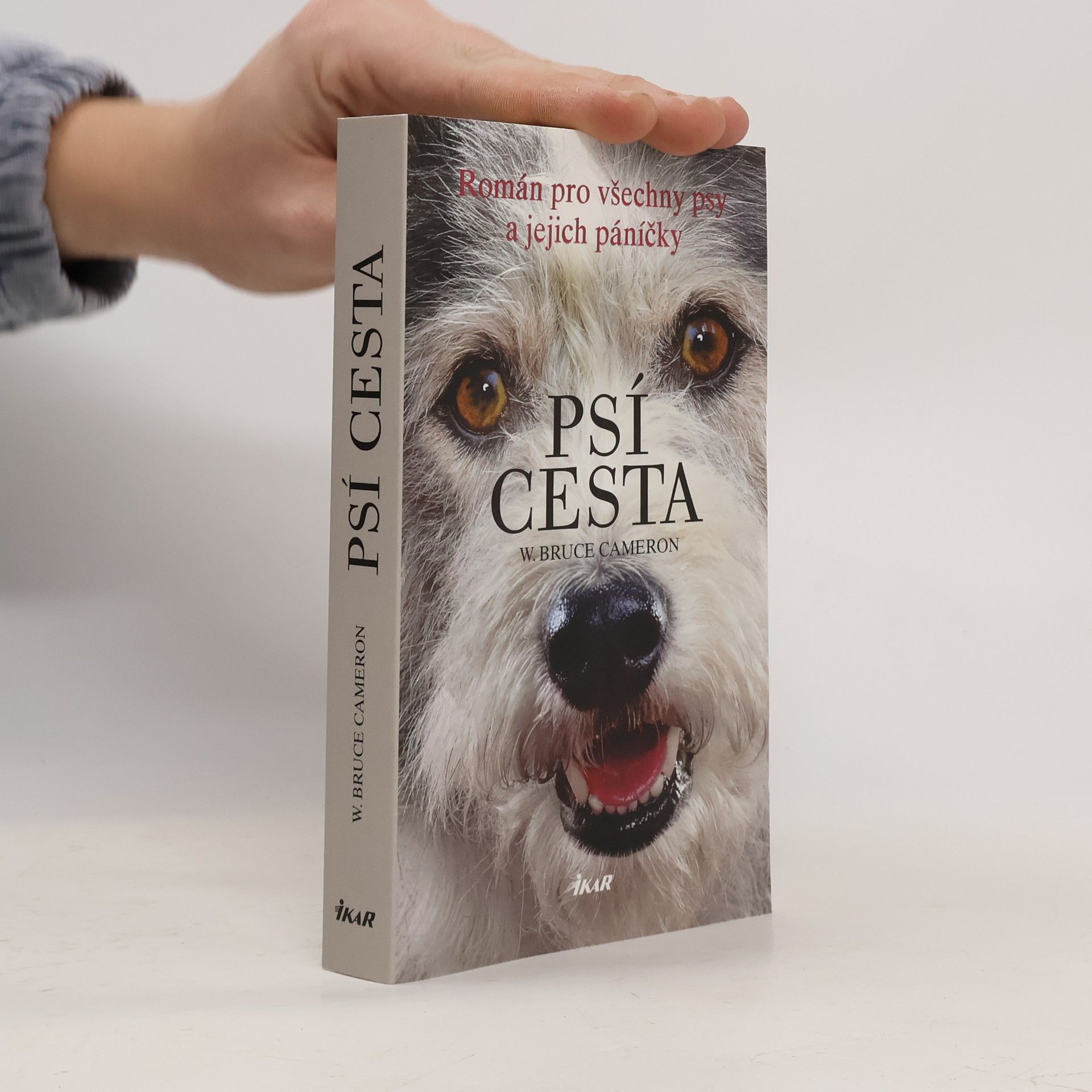 W. Bruce Cameron Psí cesta