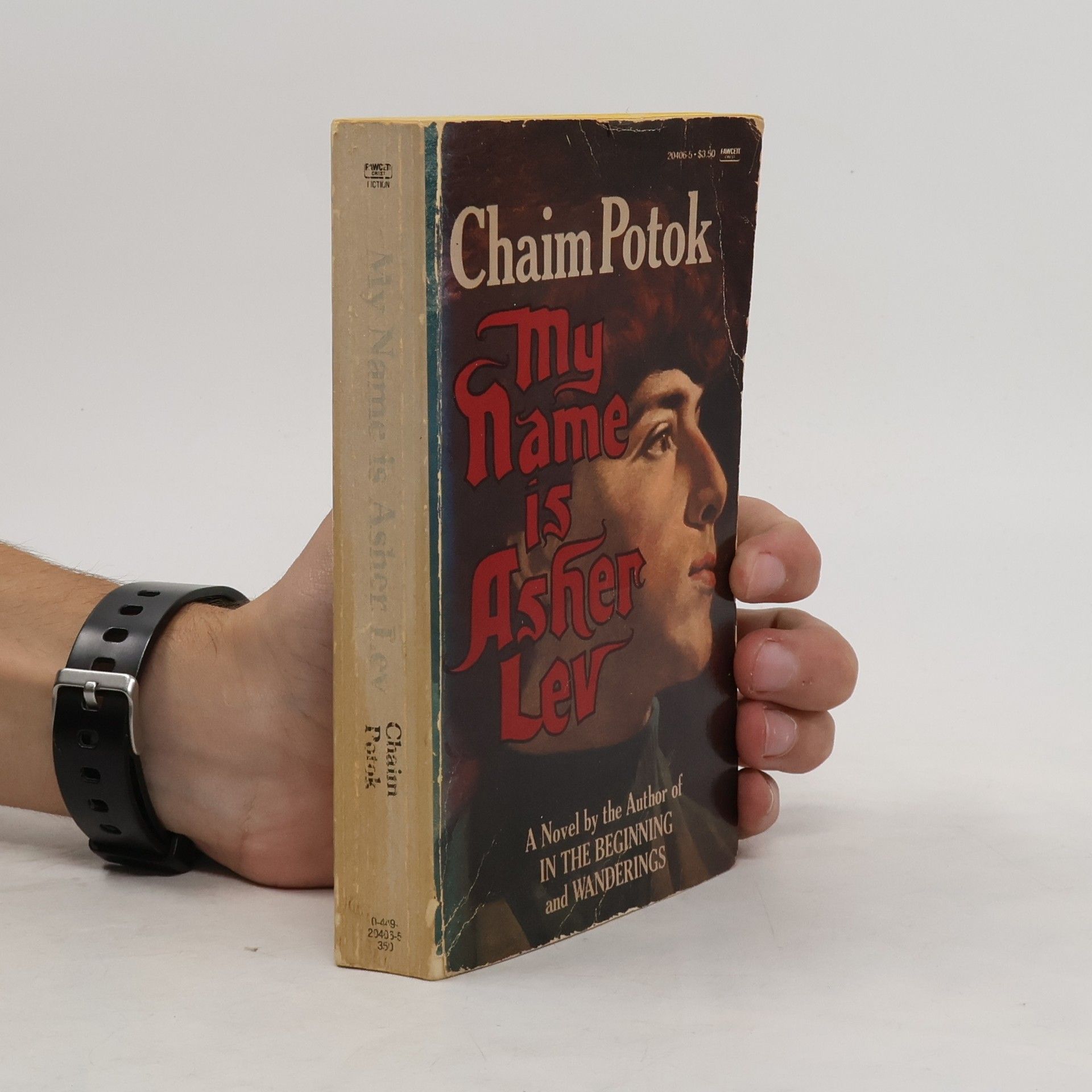 Chaim Potok My Name Is Asher Lev