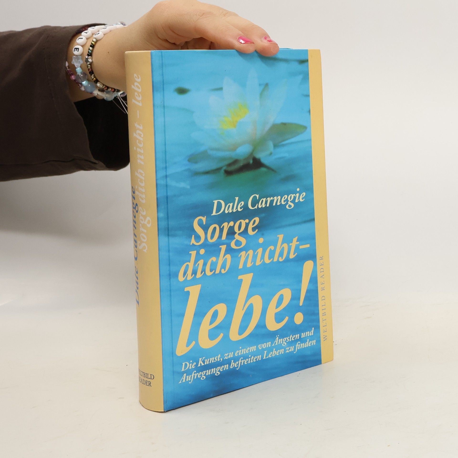 Dale Carnegie Sorge dich nicht - lebe!