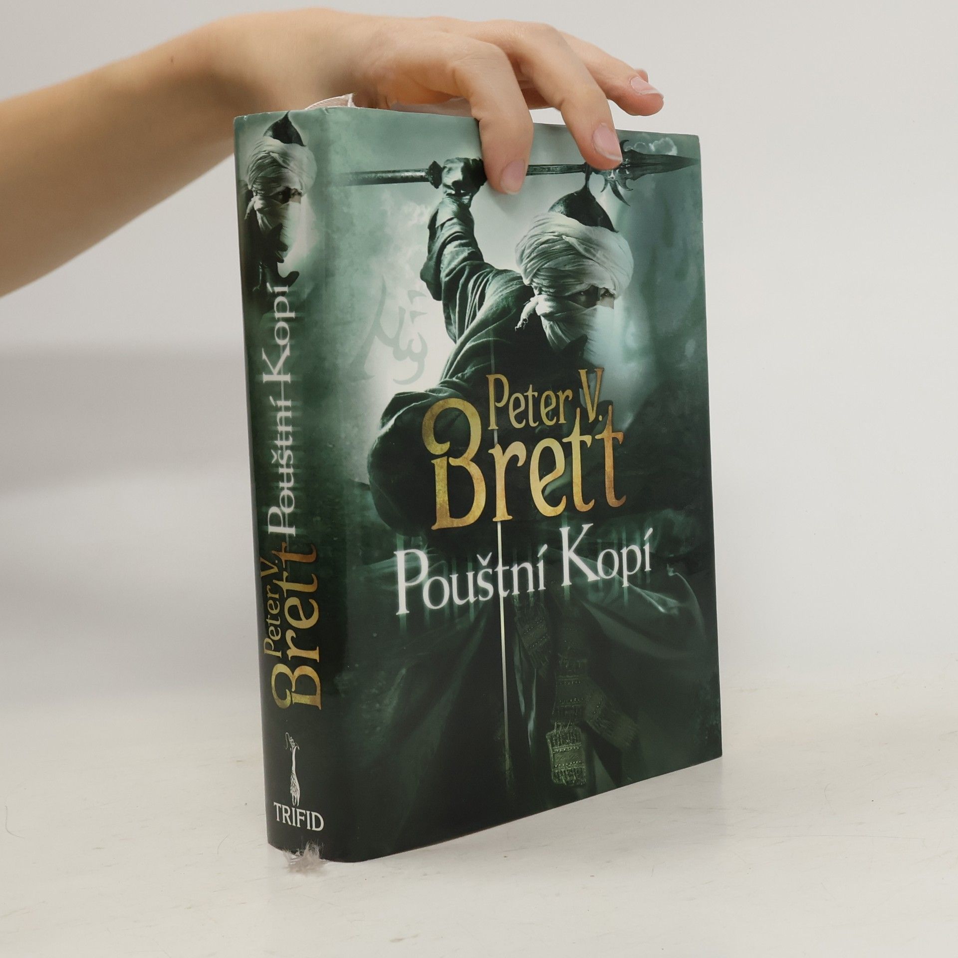 Peter V. Brett Pouštní Kopí